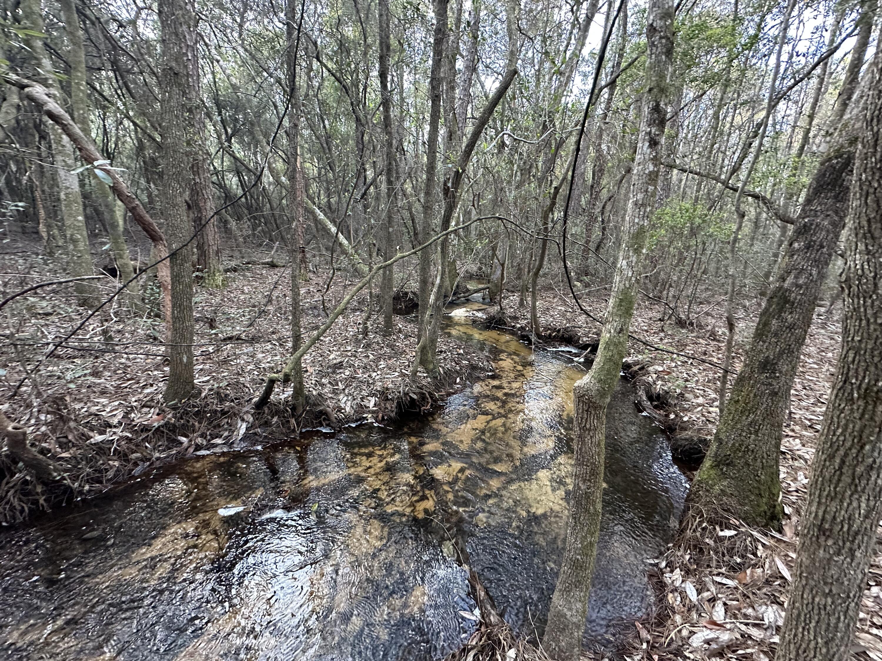 METES & BOUNDS - Land