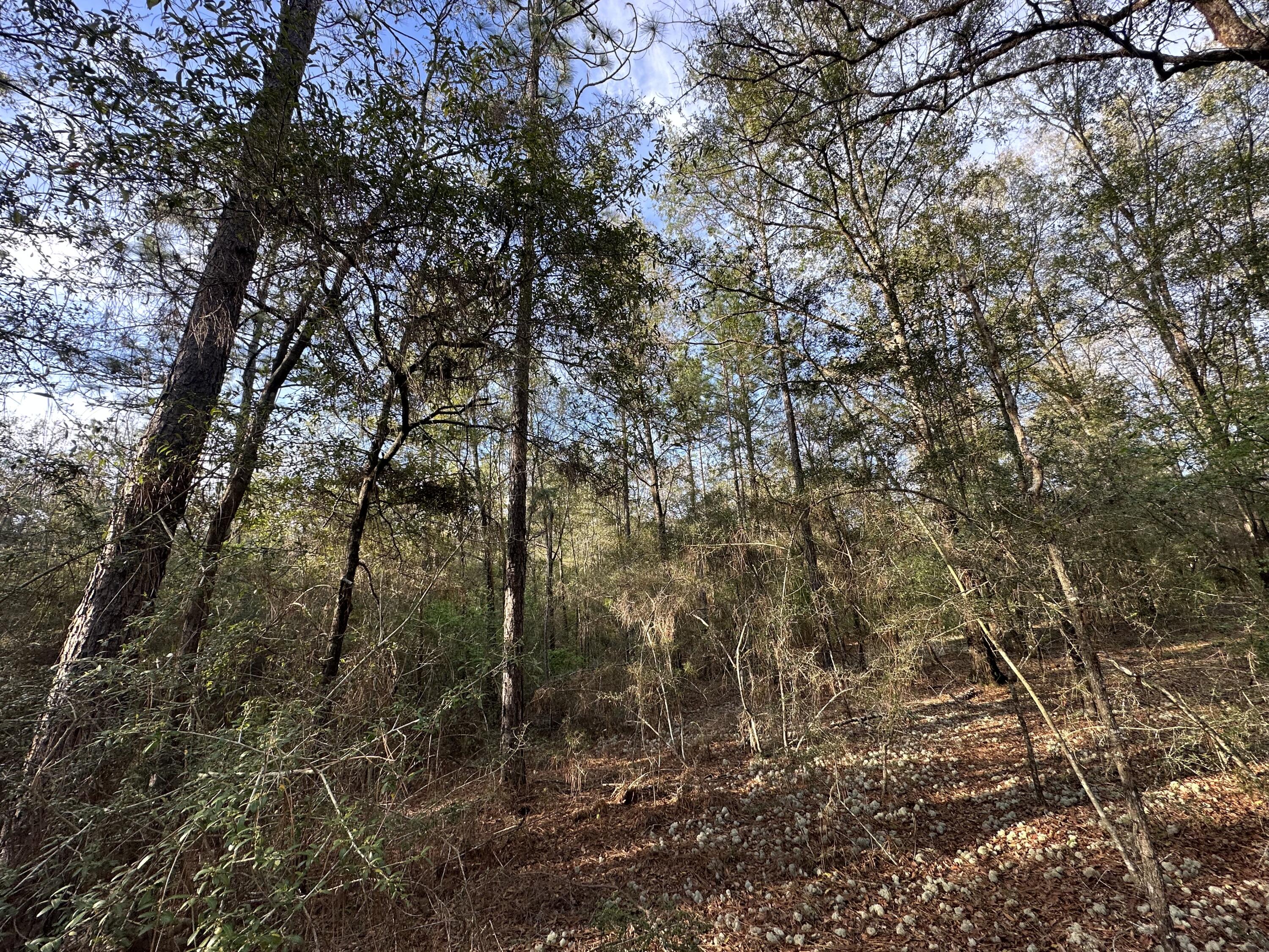 METES & BOUNDS - Land