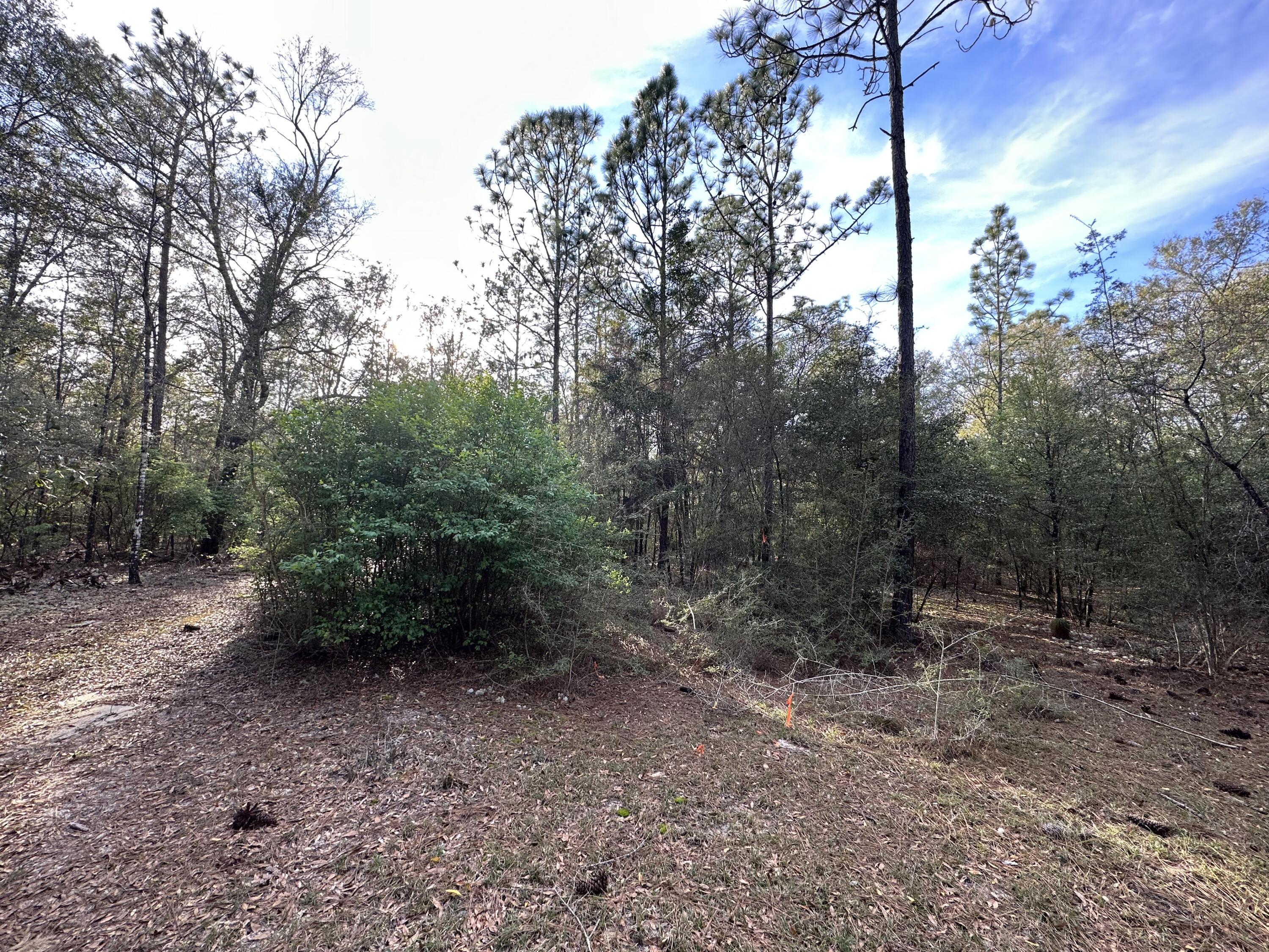 Imagine your new home on this beautiful 30 acres of prime land! bring your build plans today!Located northwest of Crestview with Lots of new growth and just a short drive from local schools, hospitals, south Publix, and the upcoming Crestview Commons. Easy Access to Hwy 85 and I-10 giving endless options for restaurants, entertainment and so much more!Note 33 ft easement in documents, see official records 2581 pg1312 and 1313,bk1222 pg 360-362,bk2581 pg 1312