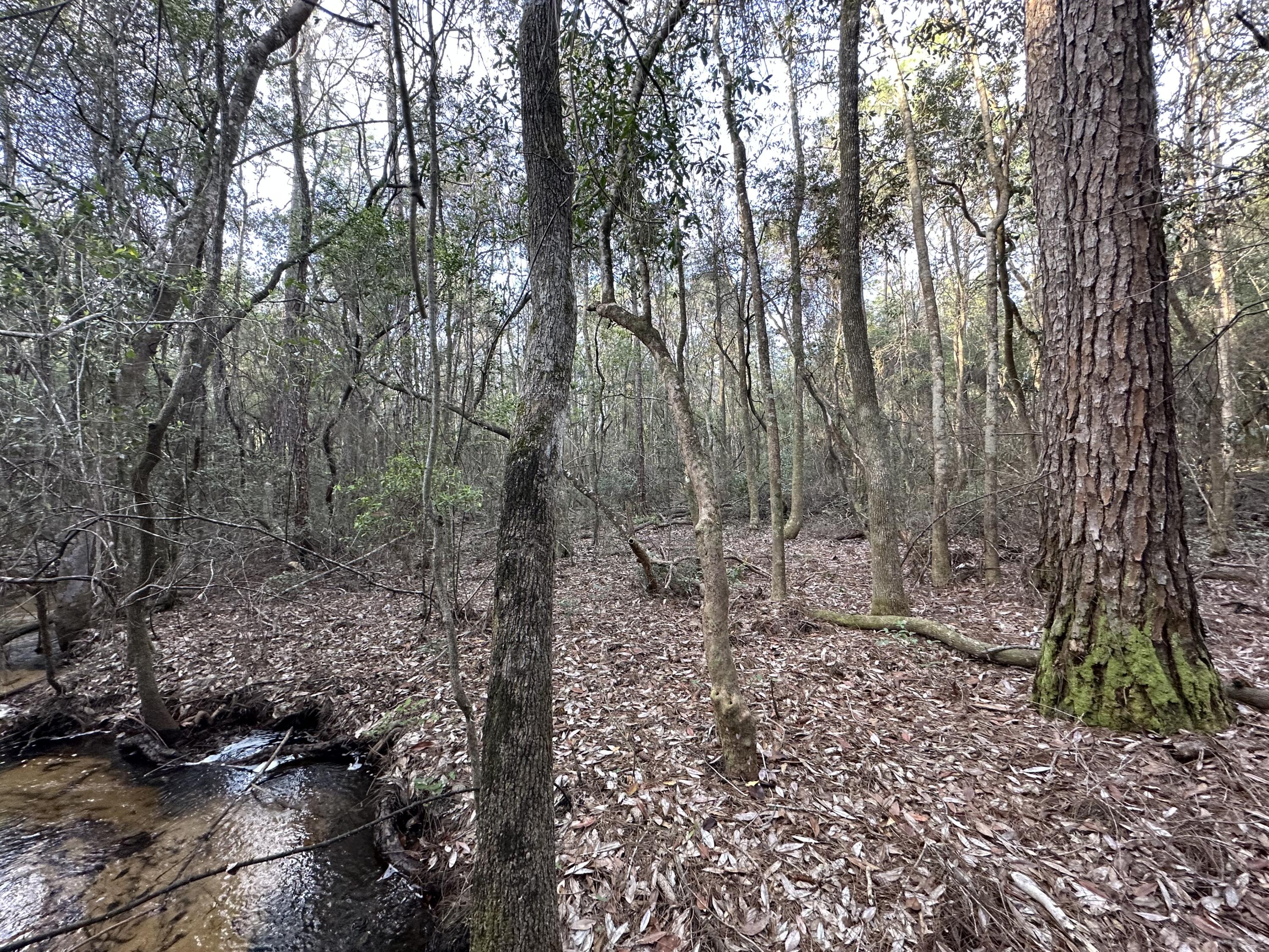 METES & BOUNDS - Land