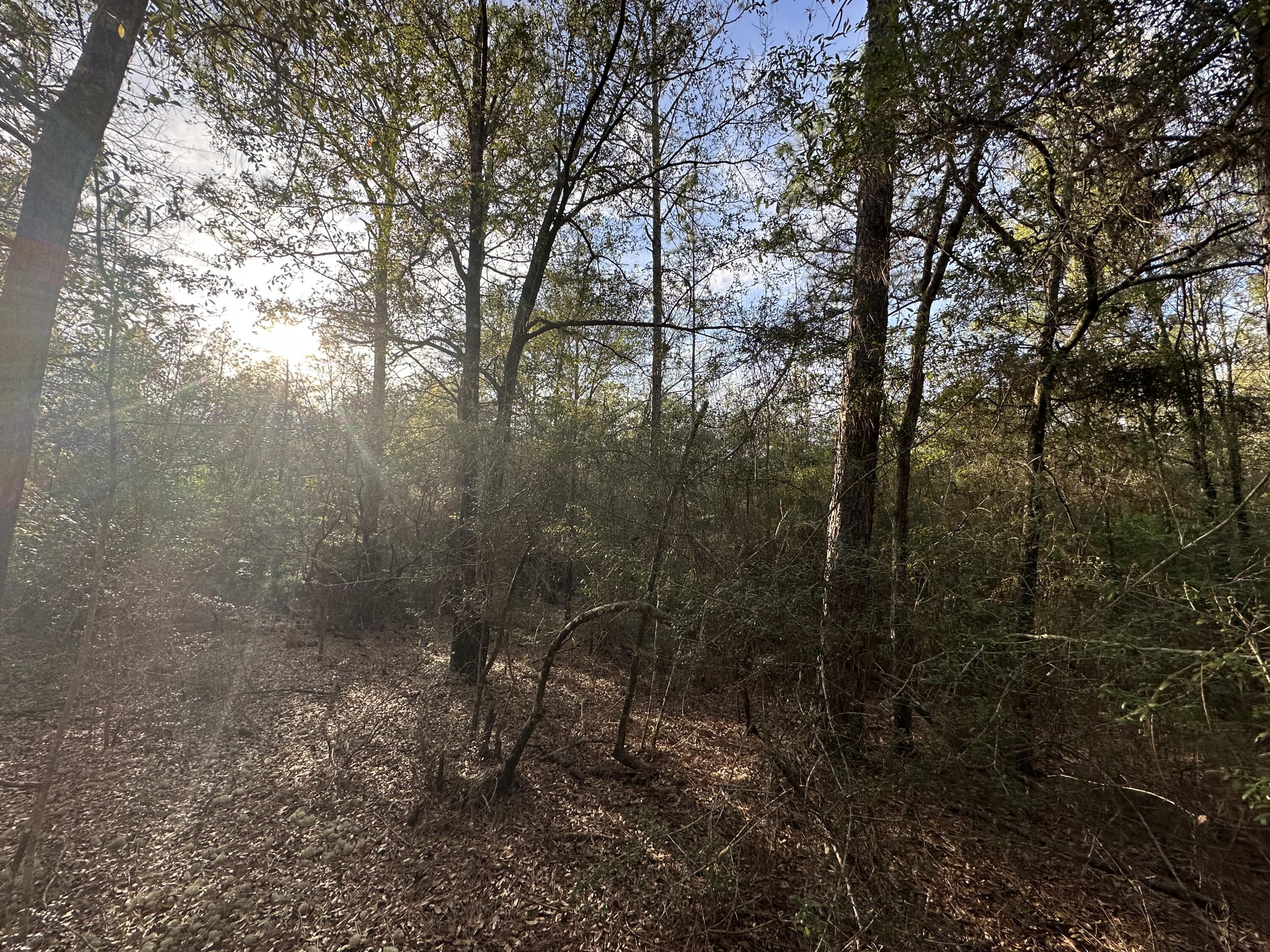 METES & BOUNDS - Land