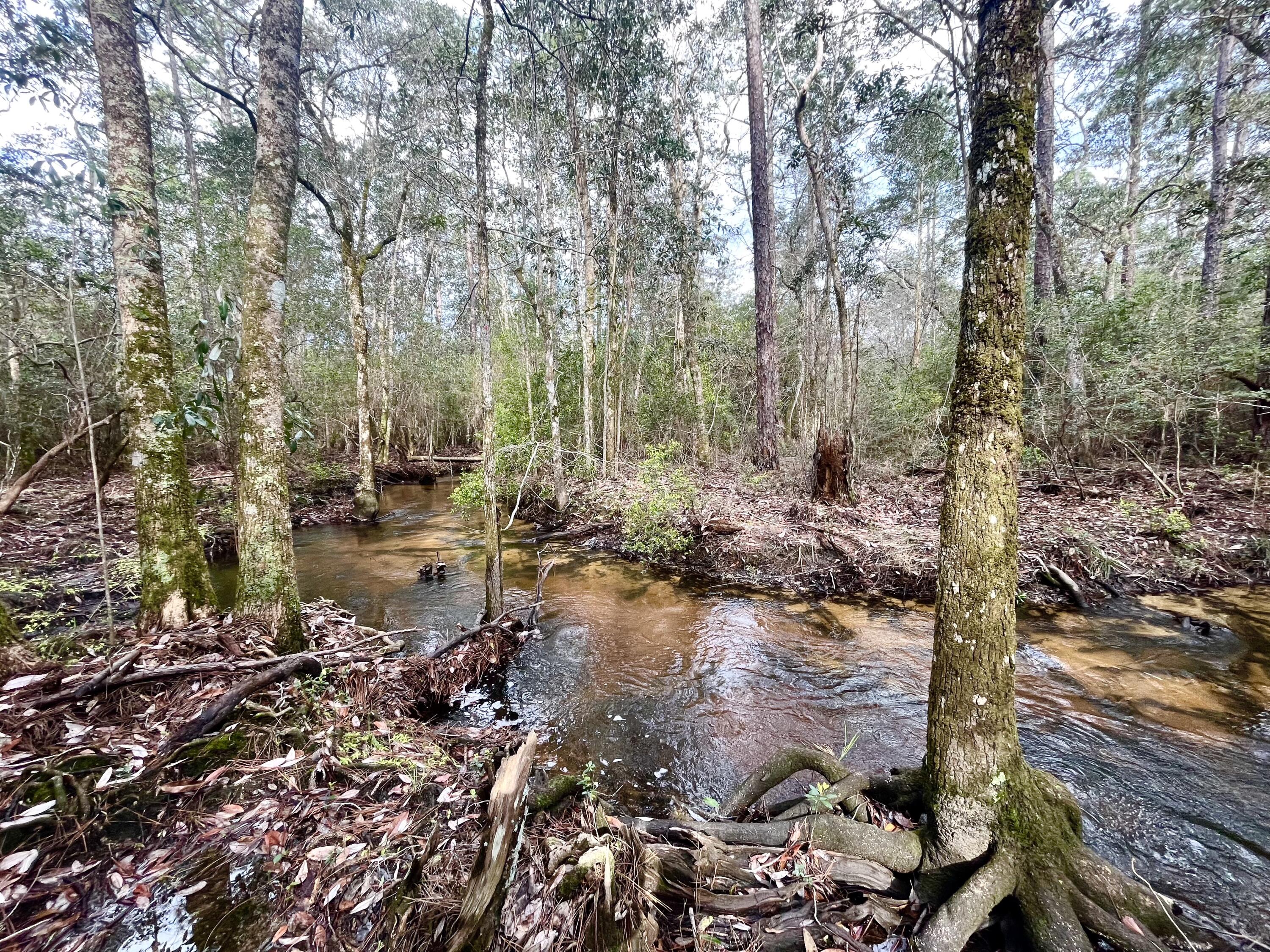 METES & BOUNDS - Land