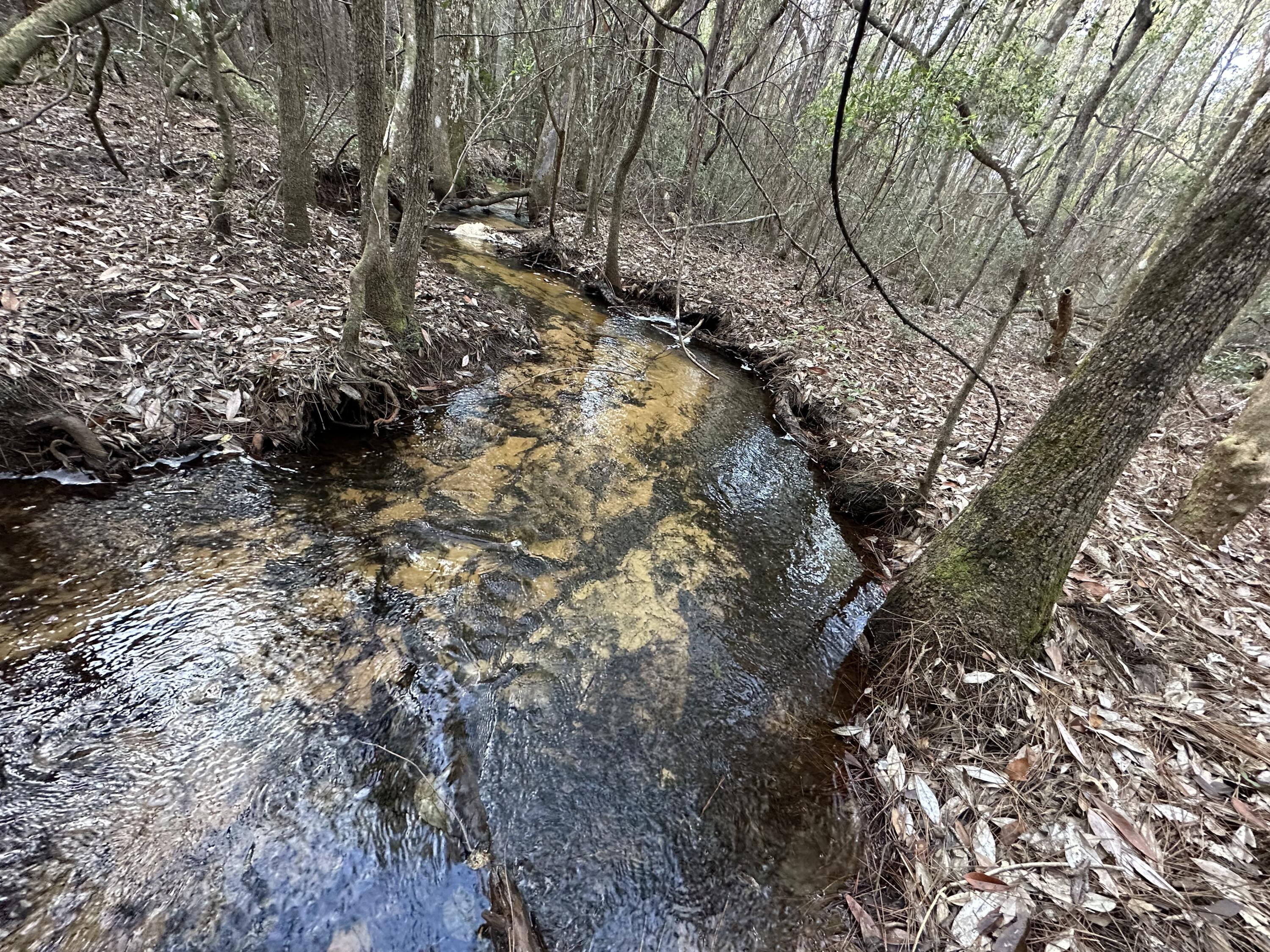 METES & BOUNDS - Land