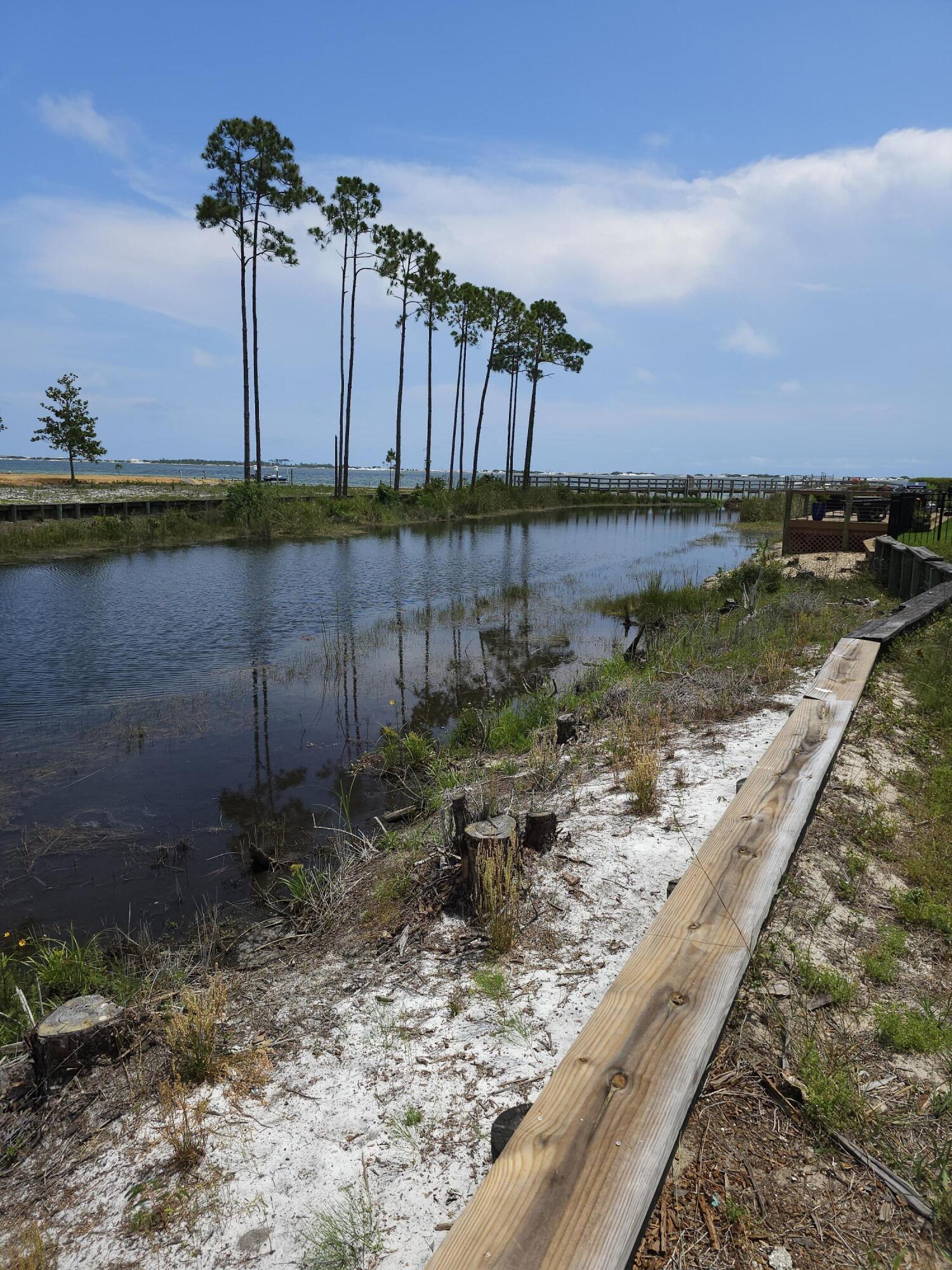 PALMETTO LAKE PRESERVE - Land