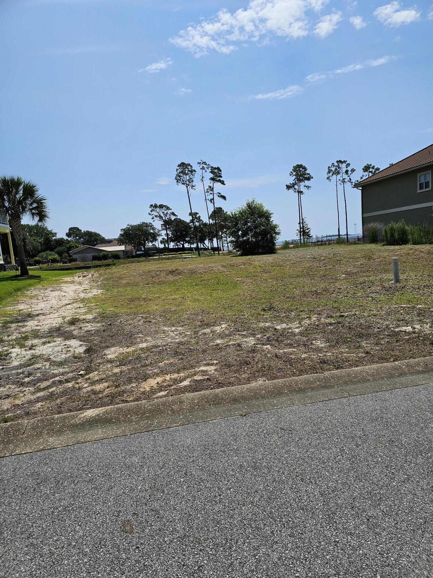 PALMETTO LAKE PRESERVE - Land