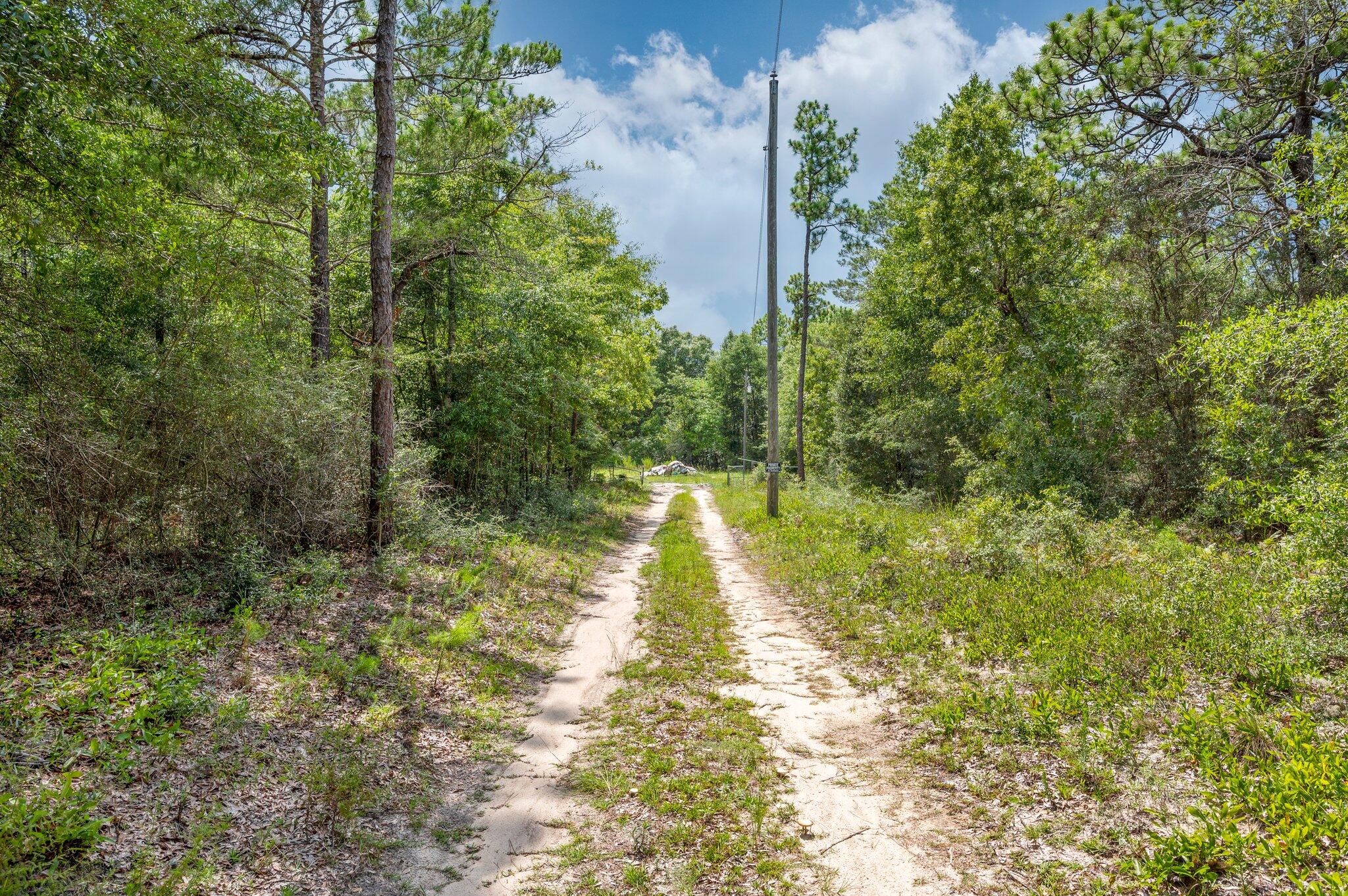 METES & BOUNDS - Land