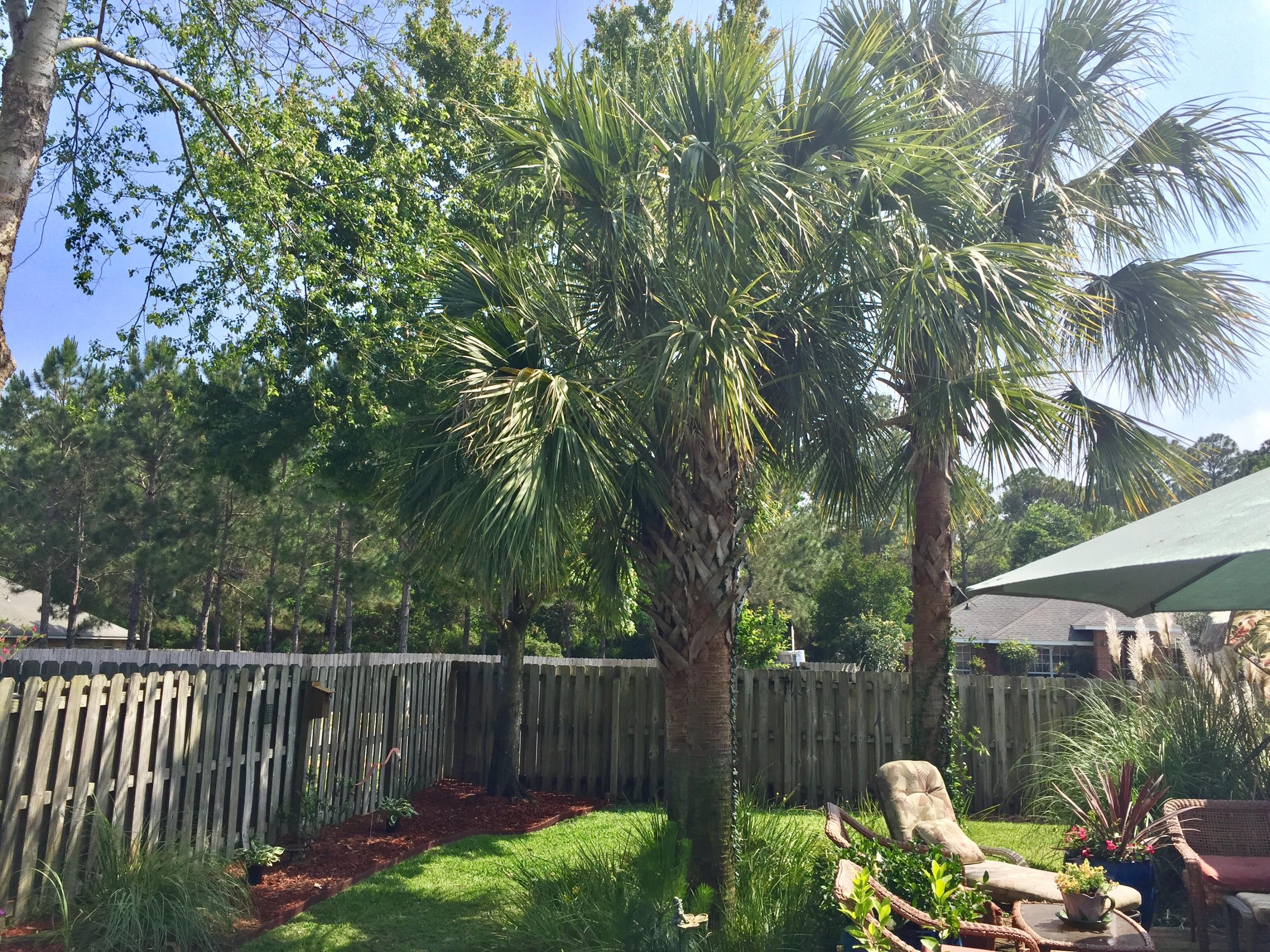 HIDDEN PINES S/D - Residential