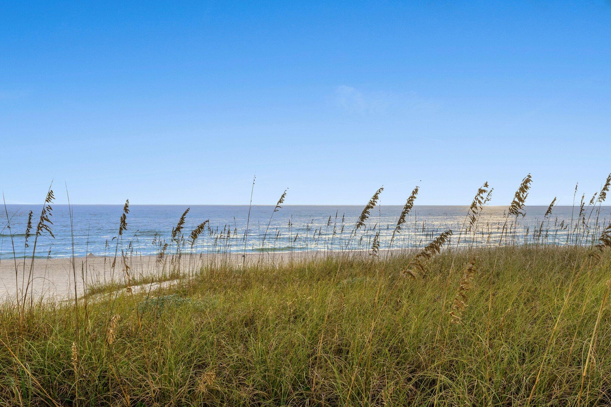 THE PRESERVE AT INLET BEACH - Residential
