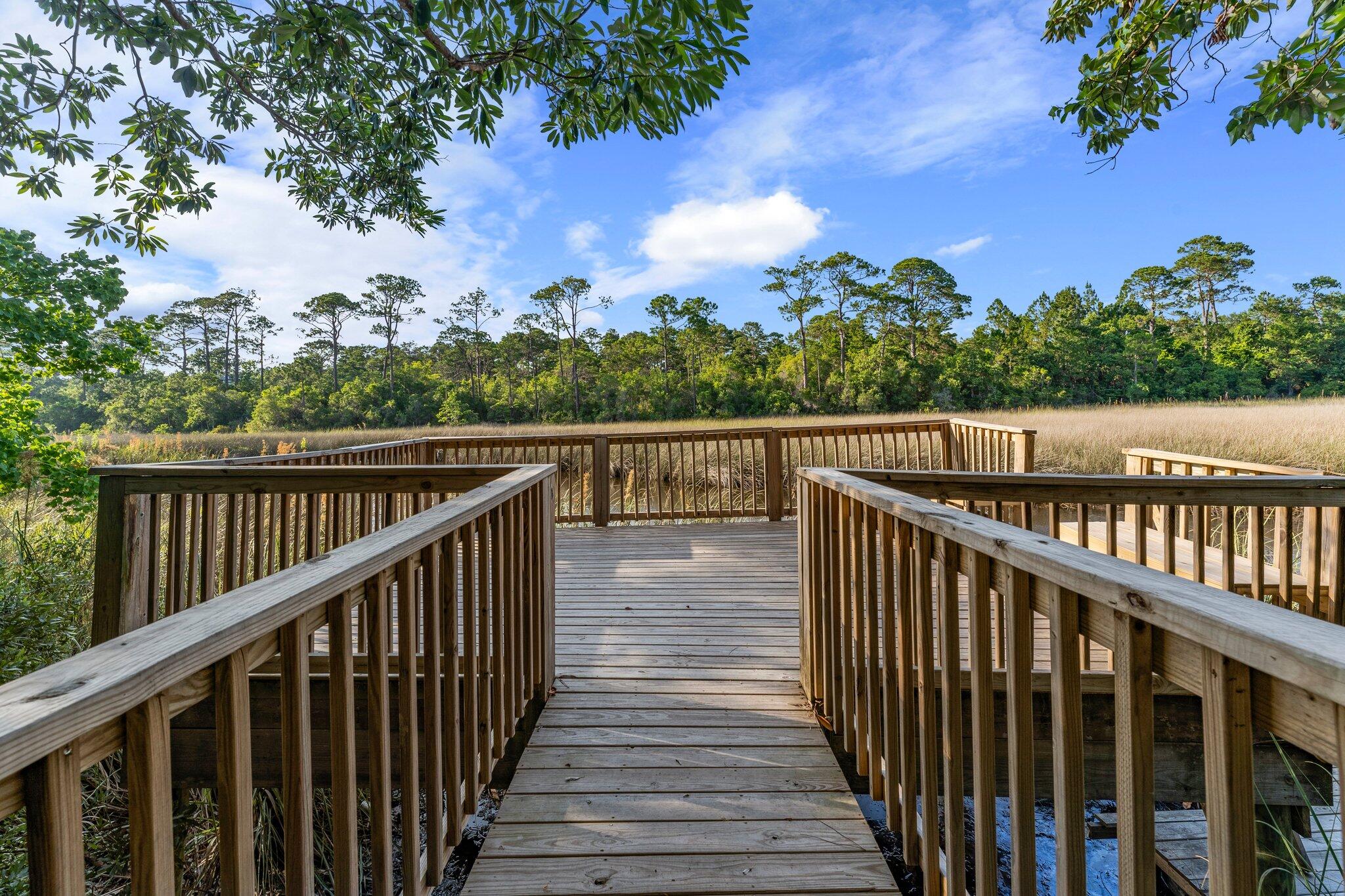 THE PRESERVE AT INLET BEACH - Residential
