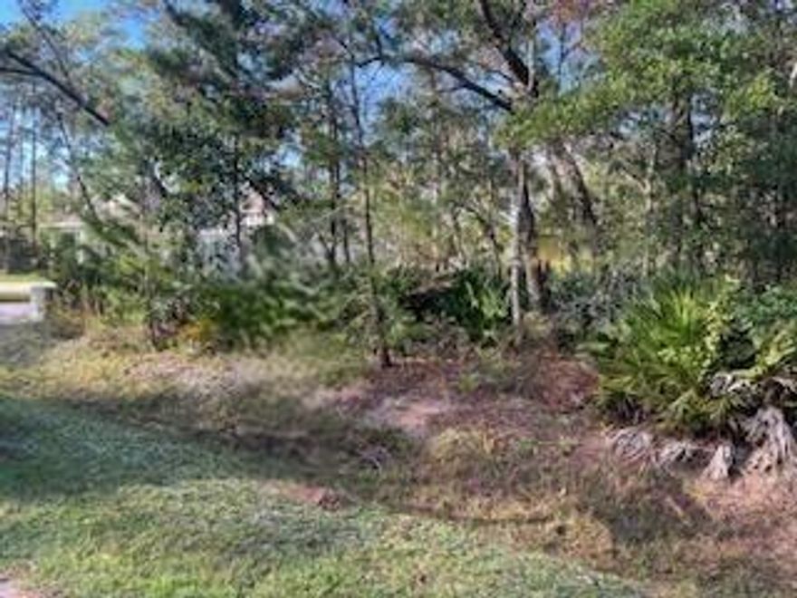 LAGRANGE SHORES is ready to become your New Home!  Wooded, Half-Acre Lot with City Water and Sewer available.  Restrictive Covenants to give guidance but no HOA or HOA fees or fines!  Owner may consider short-term financing, for qualified Buyer and acceptable terms to Seller.  Great location with easy access to Freeport Marina, Freeport Regional Sports Park, Schools and more.  County Hwy 83-A (Bay Loop Rd) has a bike/walking path from East to West Bay Loop to enjoy the outdoors while being safe. from traffic. Take a look at the potential in this lot with beautiful trees, great location and no HOA!