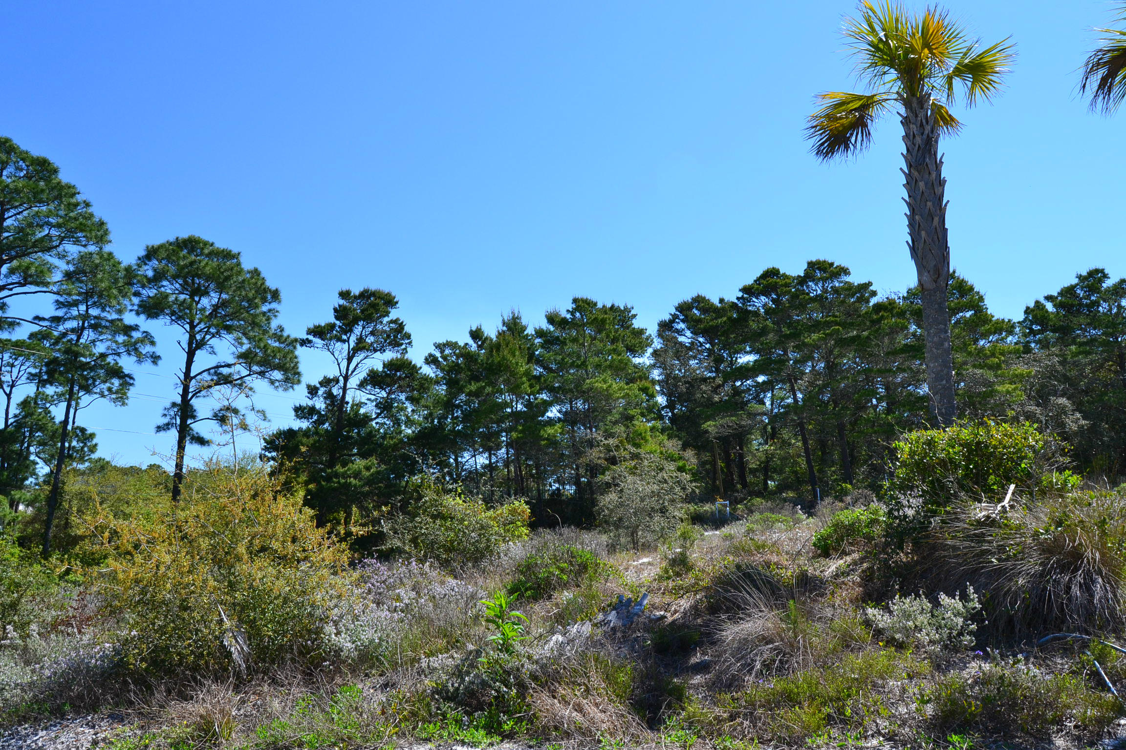 SPIRES FAIRWAY UNREC - Land