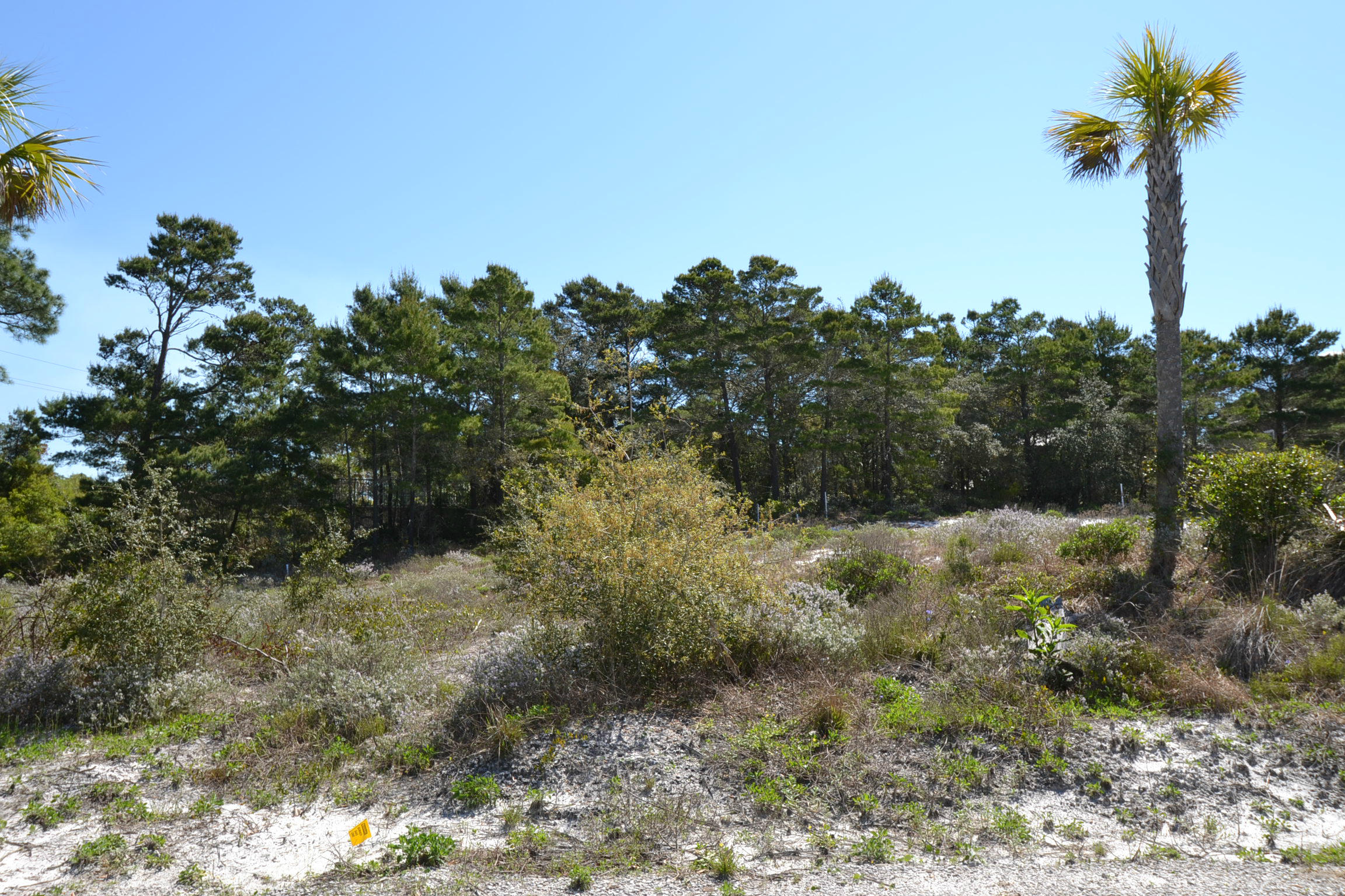 SPIRES FAIRWAY UNREC - Land