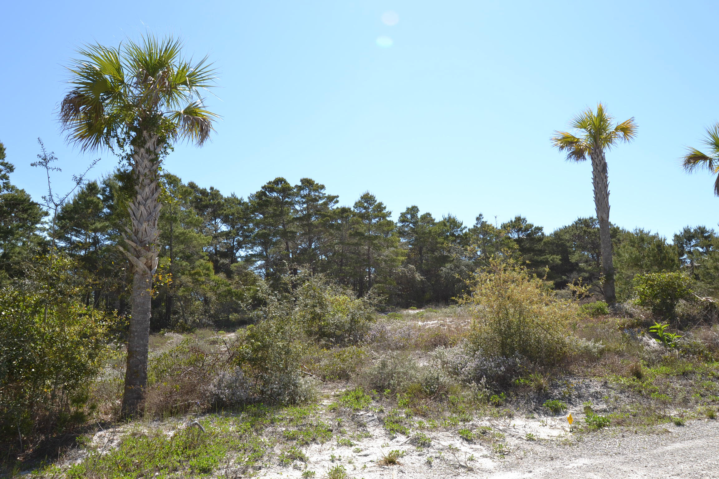 SPIRES FAIRWAY UNREC - Land