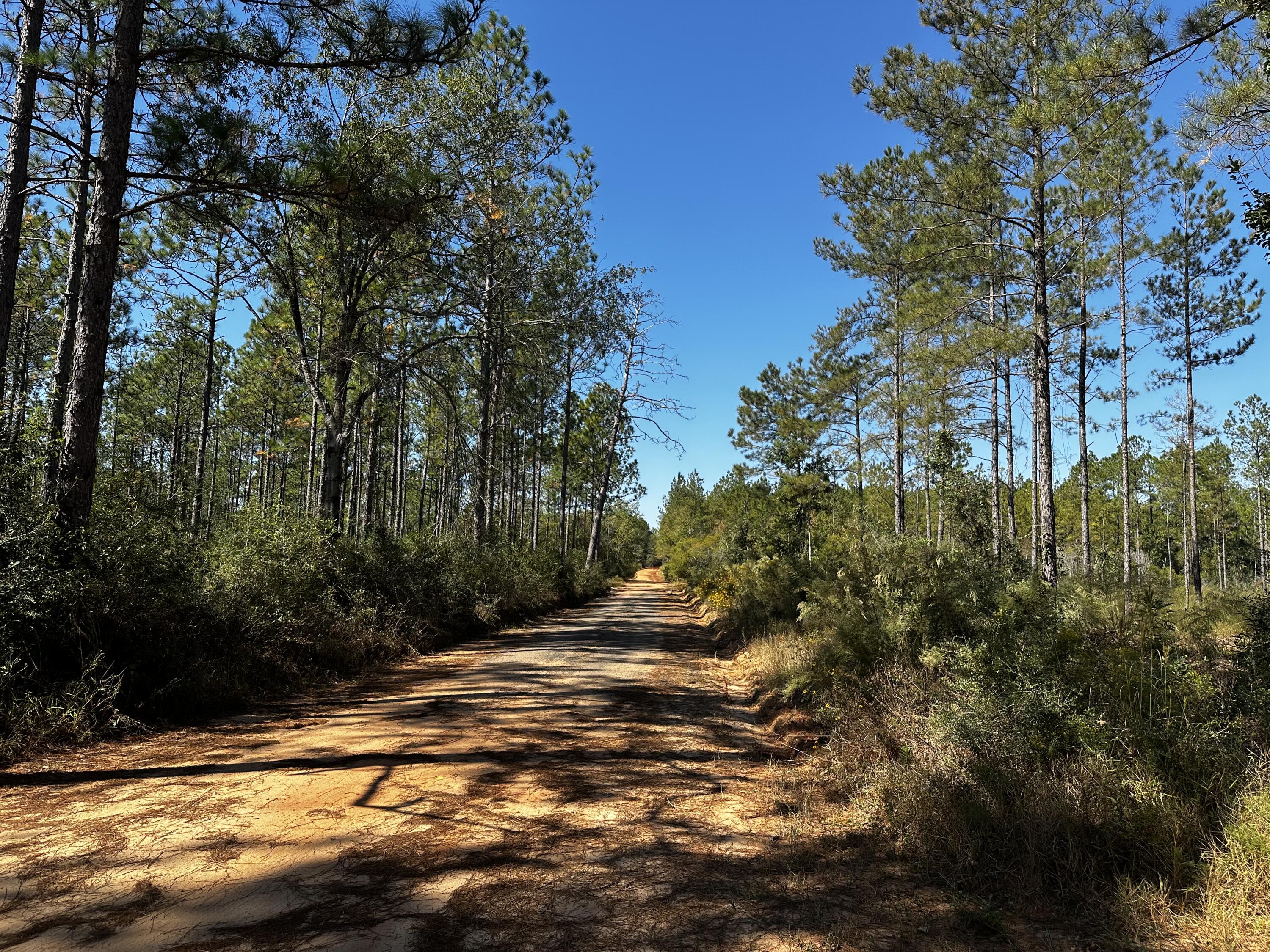 METES & BOUNDS - Land