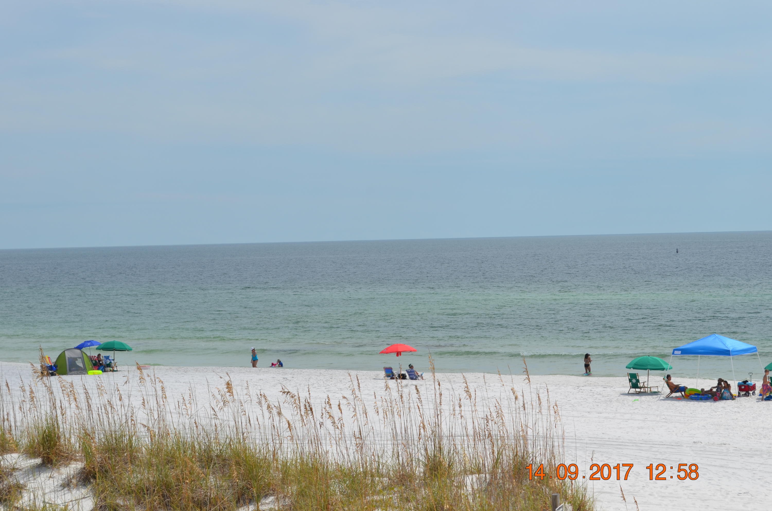 AVALON BEACH ESTATES - Residential