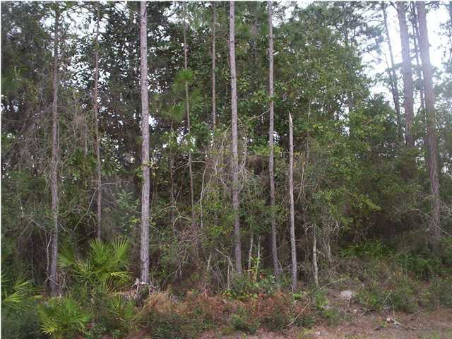 GREAT LOCATION!! 3 WOODED LOTS THAT ARE ONLY MINUTES TO THE BEACH, SHOPPING, AND DINING.