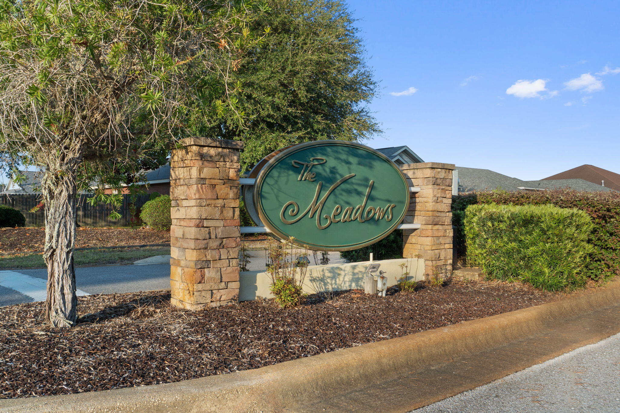 THE MEADOWS - Residential
