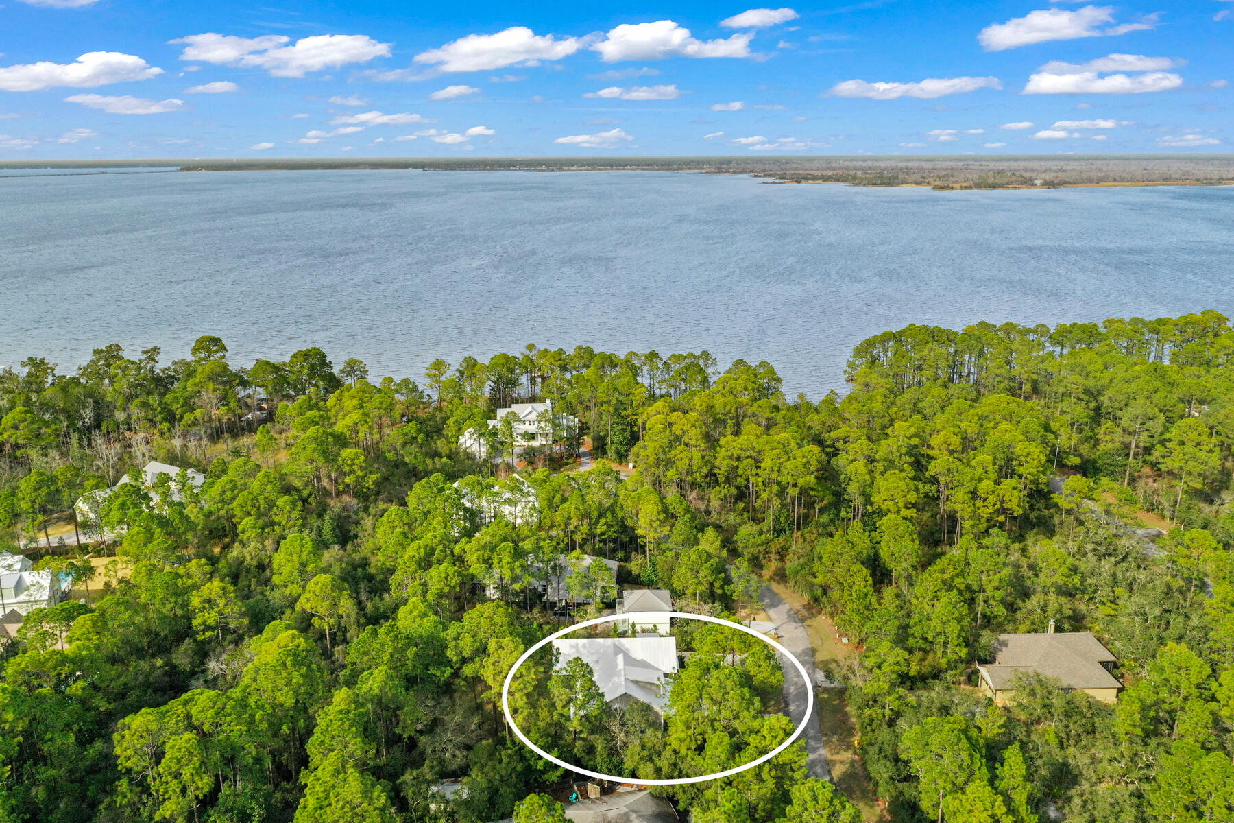 The Woods - Residential