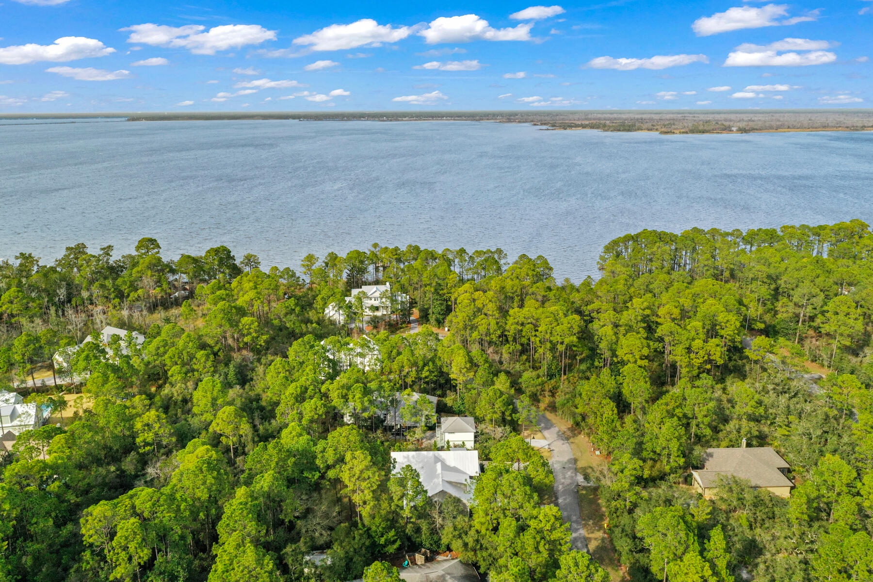 The Woods - Residential