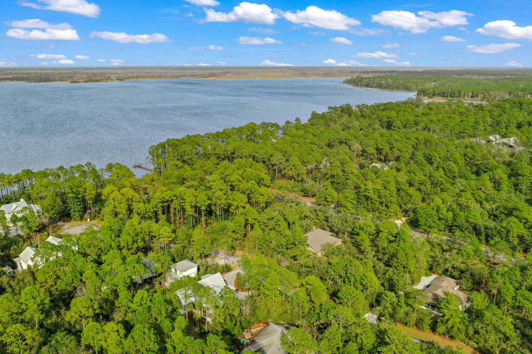 The Woods - Residential