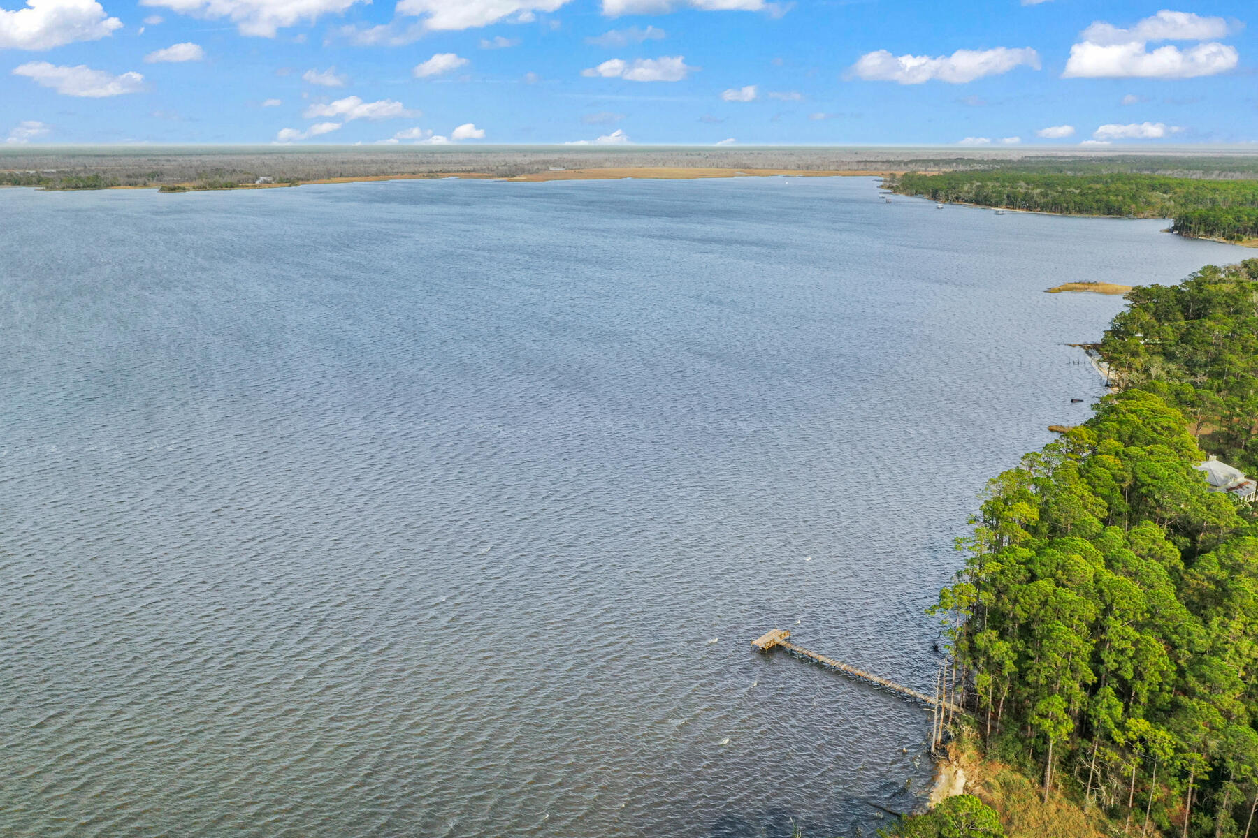 The Woods - Residential