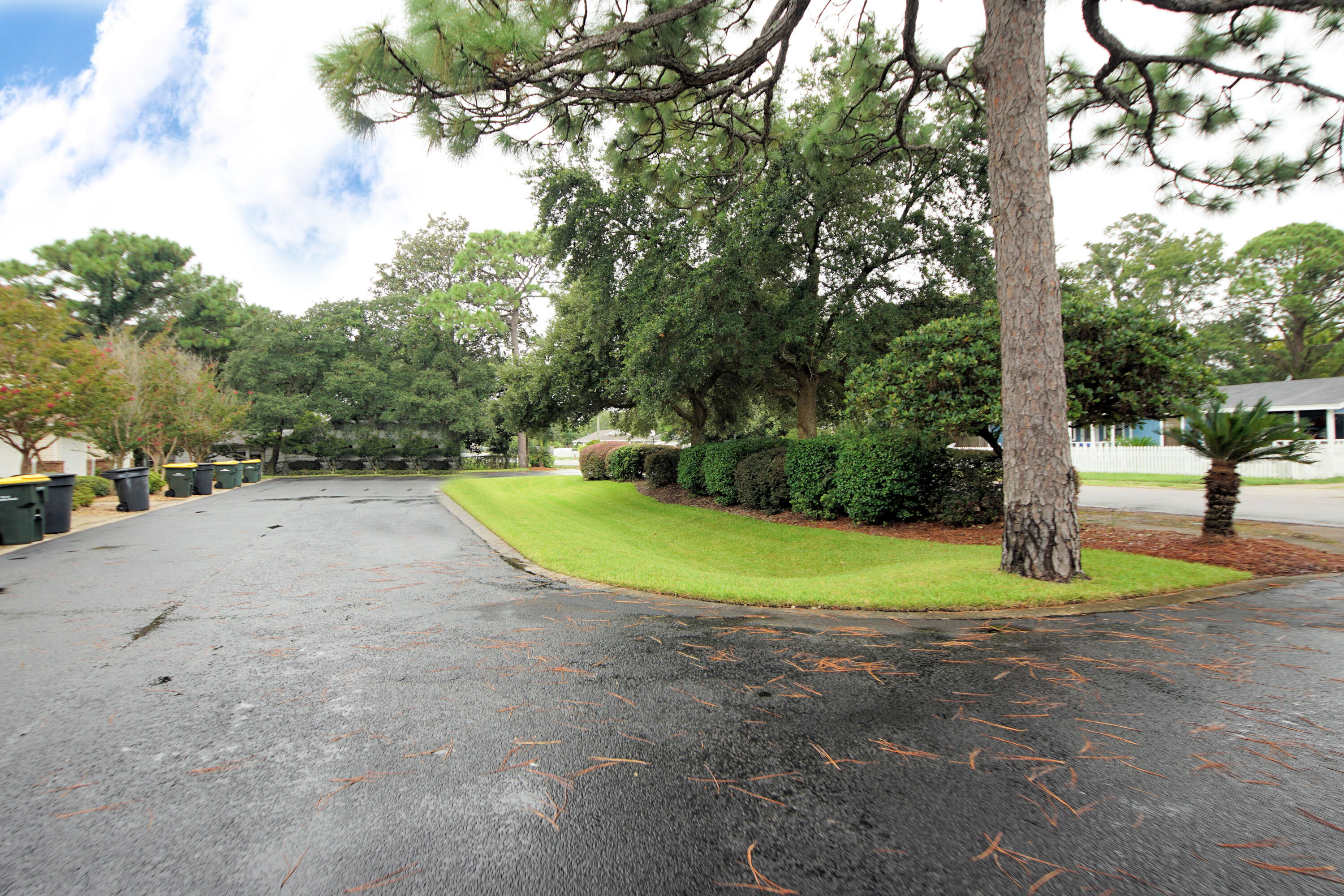 Tupelo Place - Residential