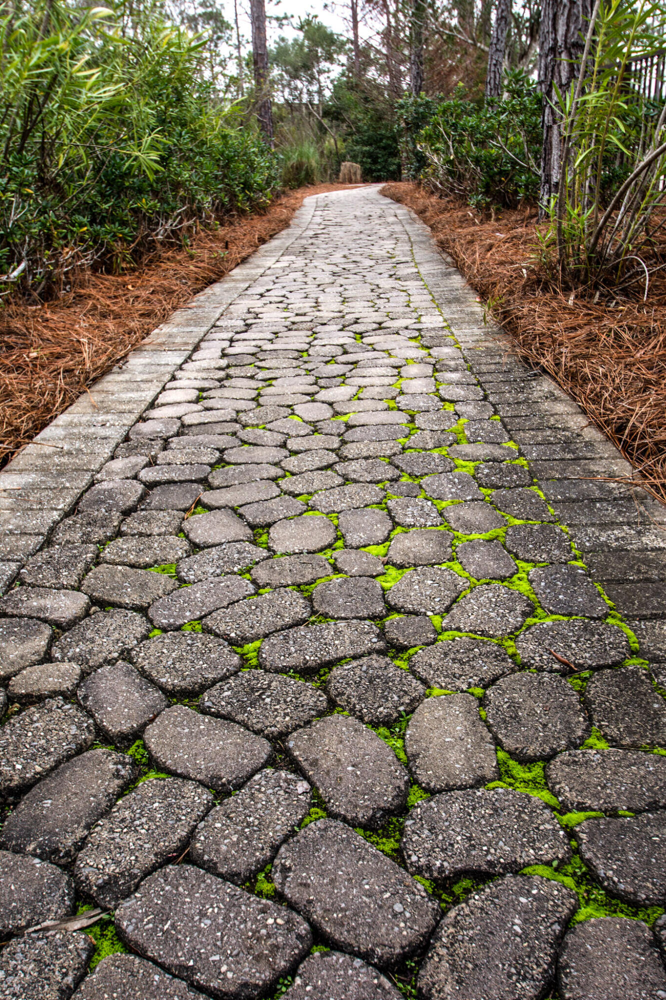 NATUREWALK AT SEAGROVE - Residential