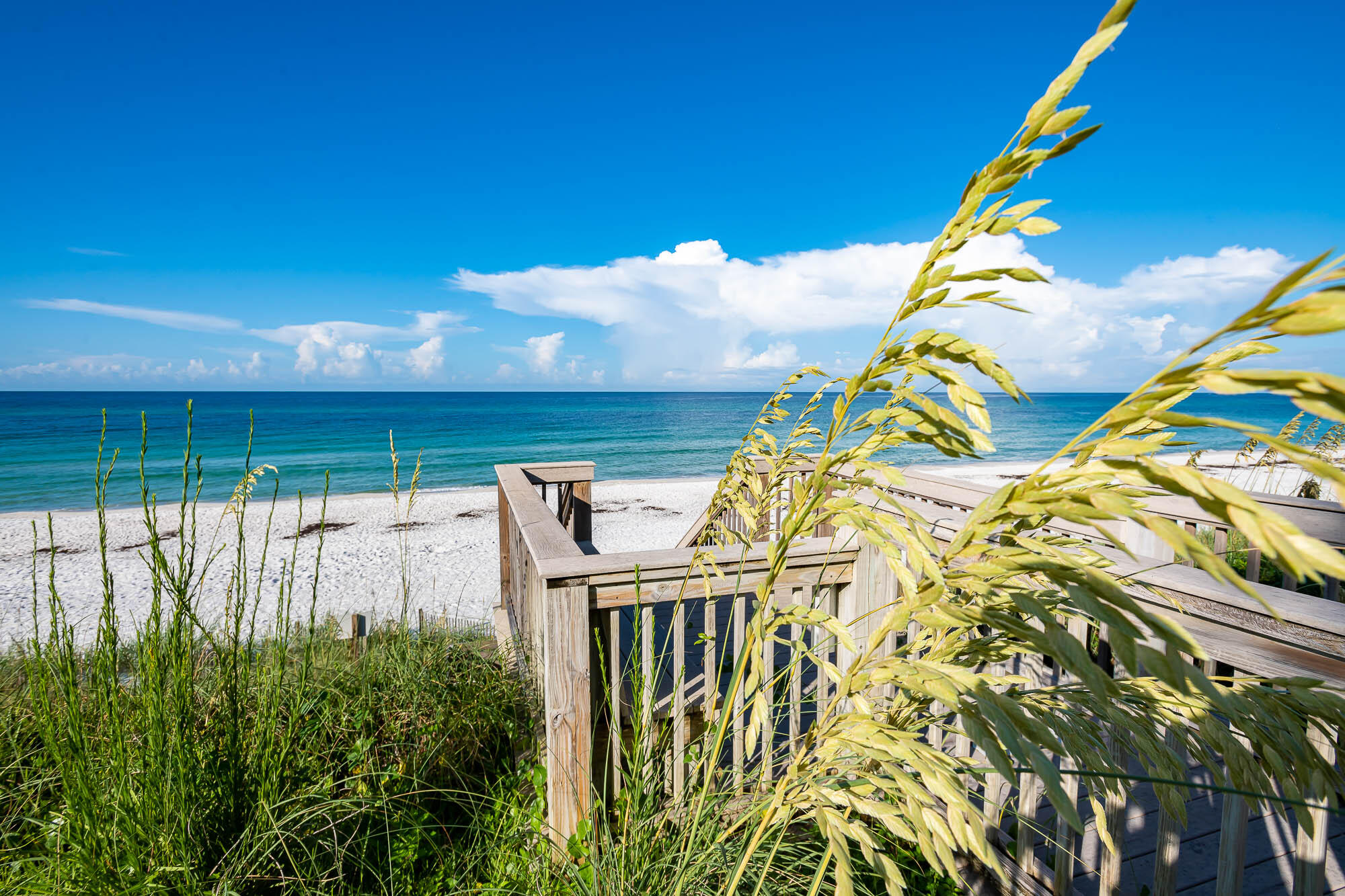 PELICAN POINTE AT CAMP CREEK - Residential