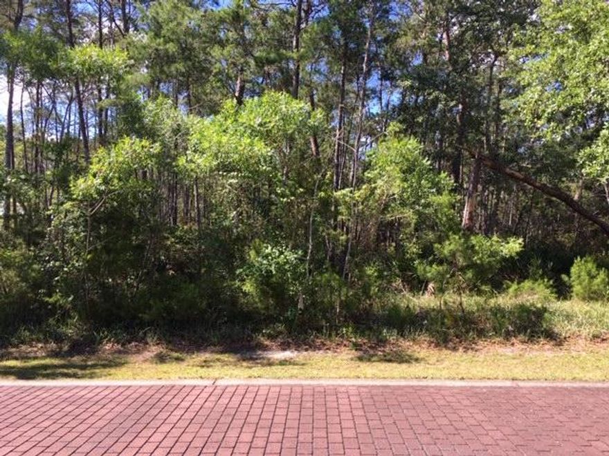 THIS GRAYTON BAYOU LOT IS LOCATED STEPS FROM THE 2,000 SQ FT COMMUNITY POOL AND 300 YARDS FROM THE COMMUNITY BOAT RAMP WHICH ACCESSES CHOCTAWHATCHEE BAY AND BAY PARK. LOT LOCATED ON BRICK PAVED STREET WITH SEVERAL HOMES ALREADY BUILT. FEATURES INCLUDE UNDERGROUND UTILITIES AND A REAR ENTRY ALLEY WAY WHICH COULD BE GREAT FOR A GARAGE. ACCESS. THIS SUBDIVISION ON ONLY A 5-10 MINUTES FROM GRAYTON BEACH. NOTE LOT 7 IS BEING SOLD SEPARATELY HOWEVER BOTH 6 AND 7 COULD BE PURCHASED TOGETHER. THE OWNER HAS ARCHITECTURAL DRAWINGS FOR A LARGER HOME , WHICH WOULD UTILIZE BOTH LOTS. SURVEY AVAILABLE.
