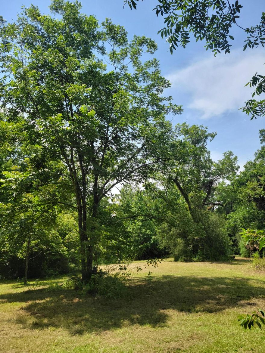 10 acres in Eucheanna Valley, just of C-183 South. This  2006 single-wide  16'x 76' 2006 mobile home,  comes with  2 large Bedrooms 2 bathrooms and a spacious kitchen/dining area, complete with all appliances including a washer/dryer.  Property comes with a deep well (with own well house),  and septic.  If you are looking for that Special Get-Away'' this may work for you.  If you like restoring older homes, the original homestead house is still there.  Appx. 10-12 miles north of Freeport.  Just off 81 S in Ponce de Leon, turn at the flashing caution light onto C-183...appx 3 miles turn left on White Road will be on your right from this direction. Land dimensions are subject to an up-to-date survey.   Easy to view, give us a call