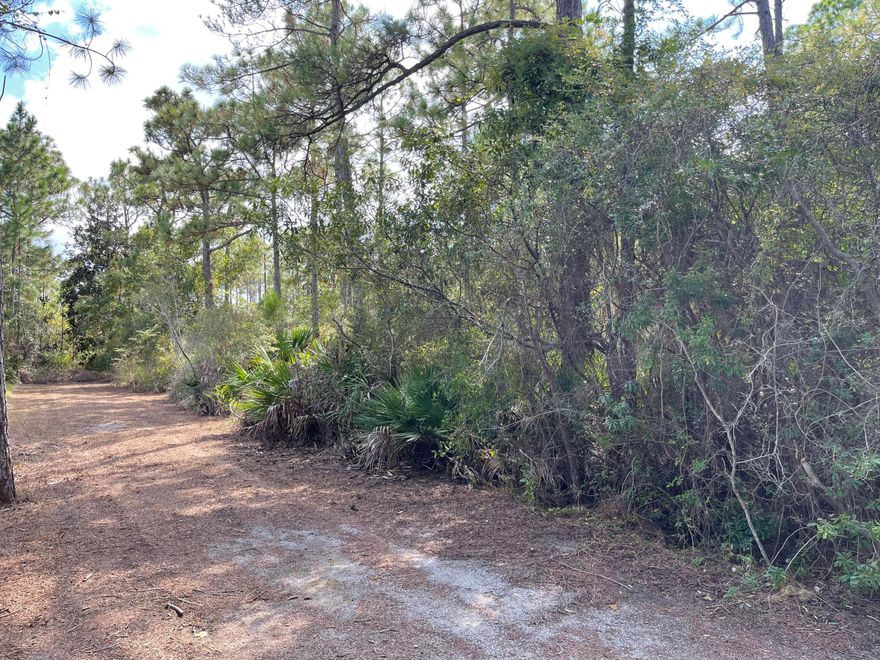 Imagine the possibilities!  This is a prime opportunity to acquire a large lot in the rapidly developing area of South Walton County.  Purchase lot 5 and build your dream home!  Is 1/4 acre not large enough?  No problem...Adjacent Lot 2 is also available for sale!  Purchase both lots and you will have 1/2 acre to work with.  Call today for details!