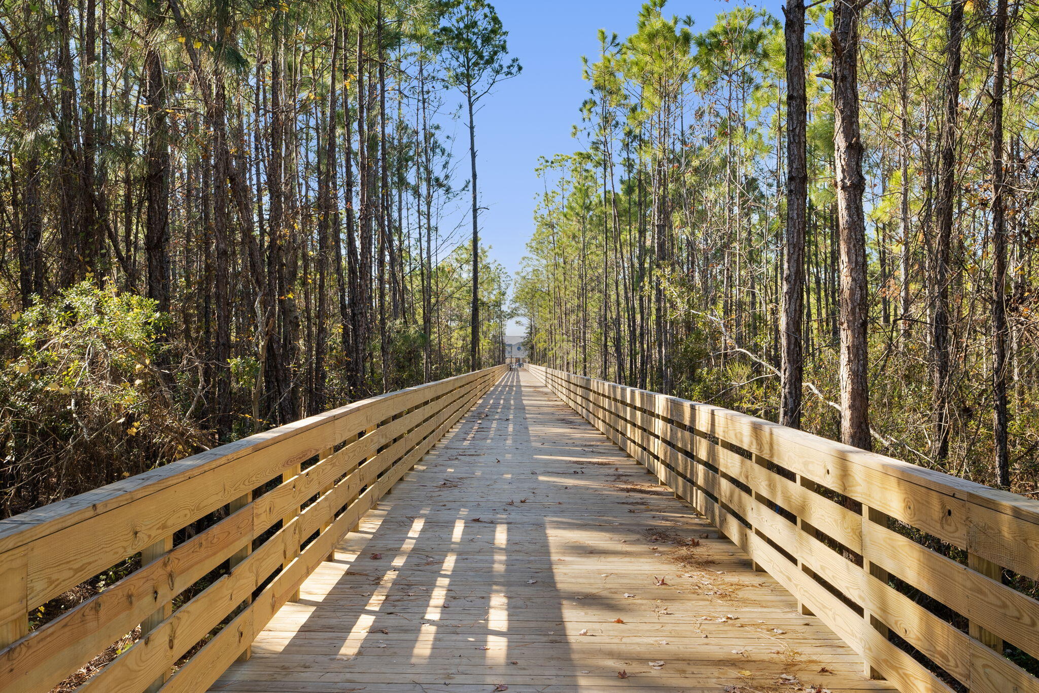 Breakfast Point - Residential