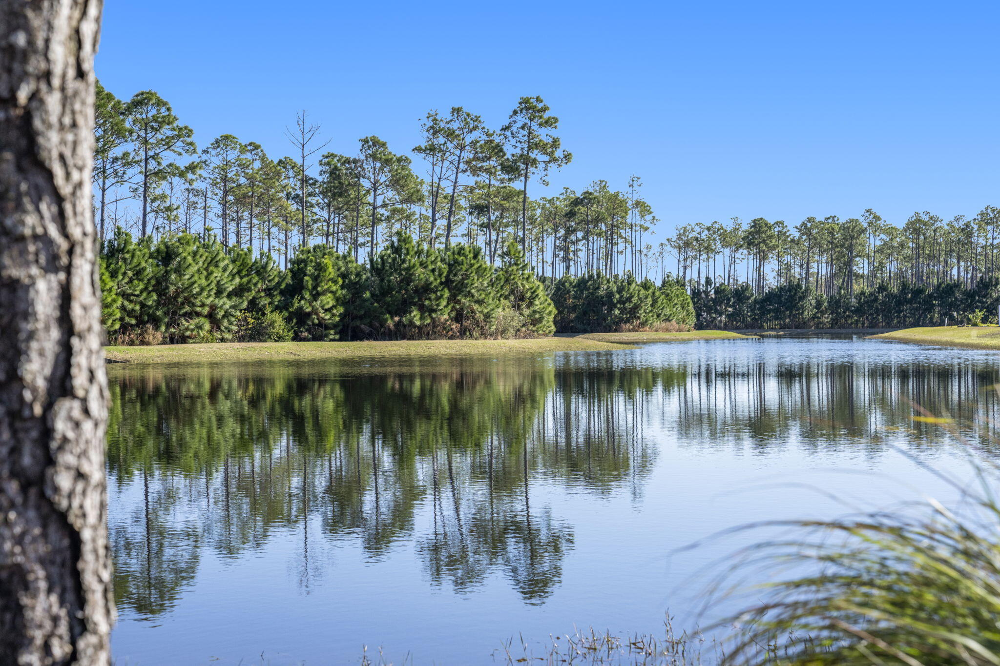 Breakfast Point - Residential