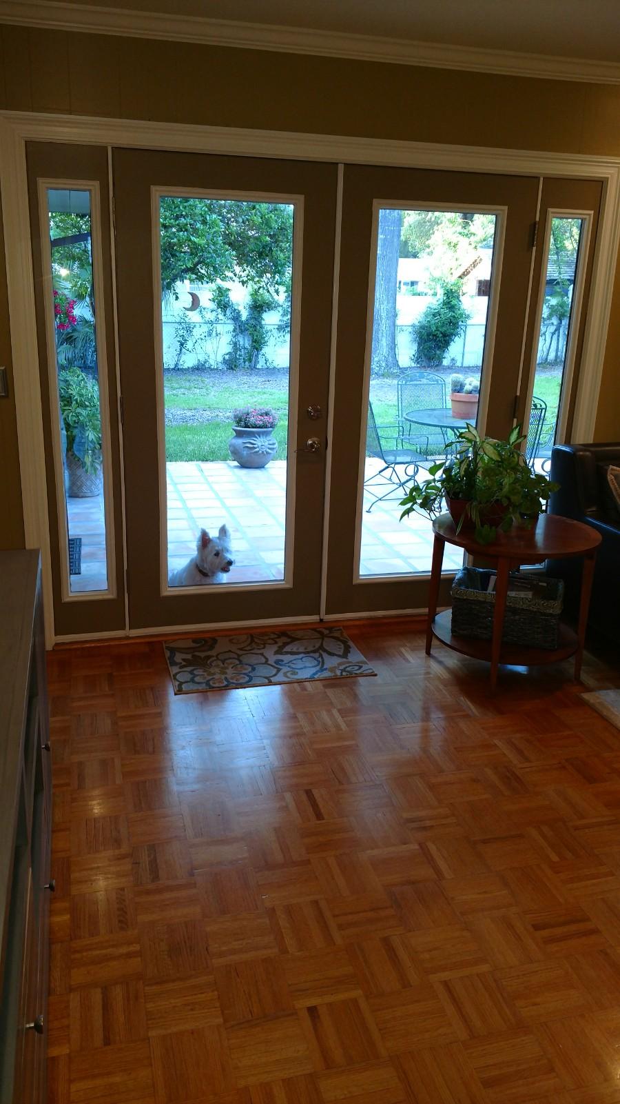 CHELSEA WOODS - Residential