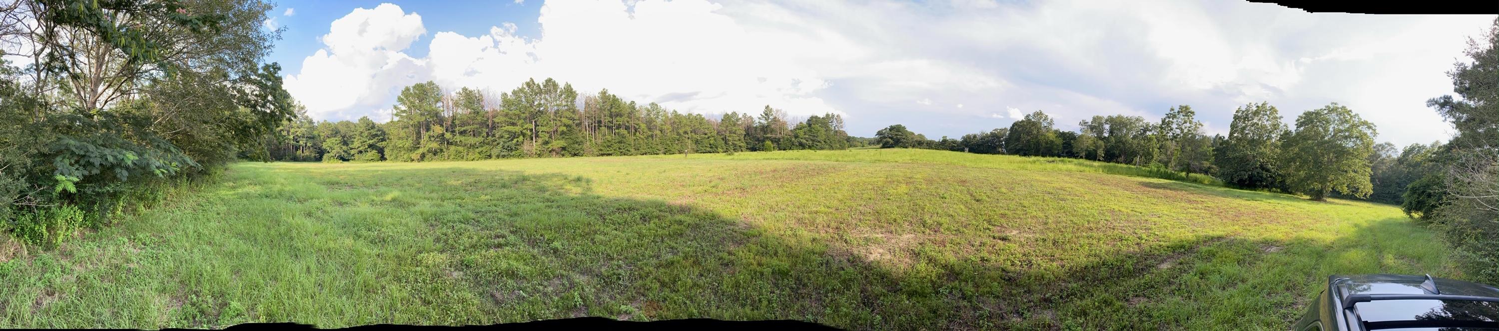 22 acre property with a spring fed pond. The front of the property has been cleared and ready for you to build your new home! Many deer, turkey and other wildlife often seen on the land. Make your offer today!