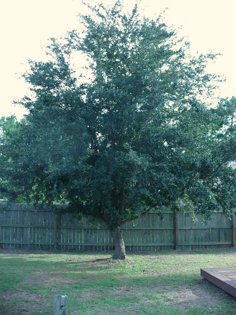 NAVARRE S/D 2ND ADDN - Residential