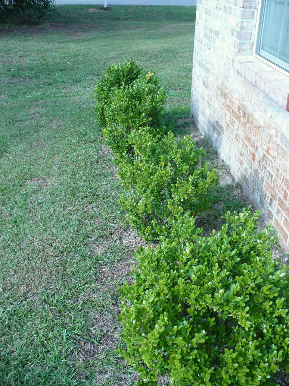 NAVARRE S/D 2ND ADDN - Residential