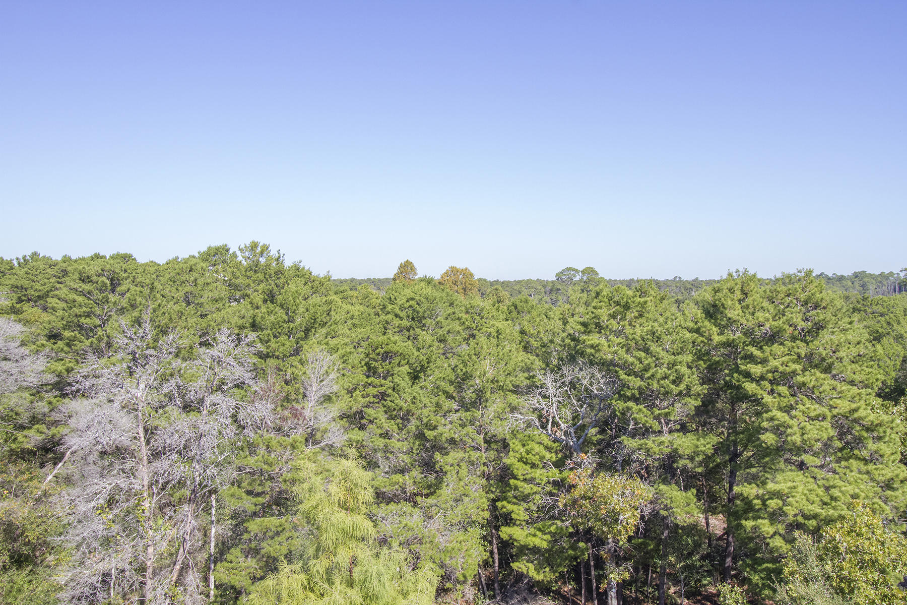 GRANDE POINTE AT INLET BEACH - Residential