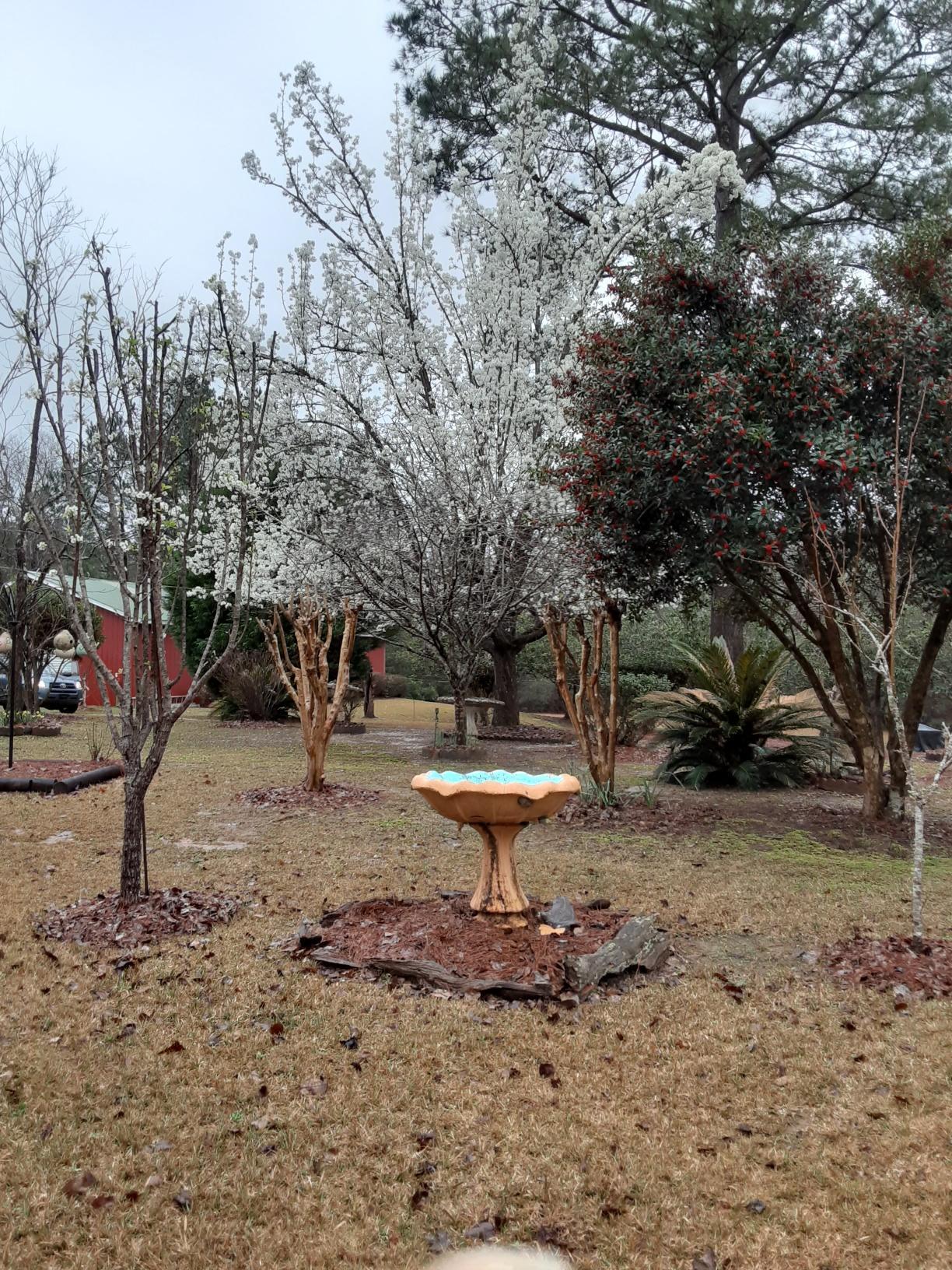 M/H NORTH (221000.10) - Residential