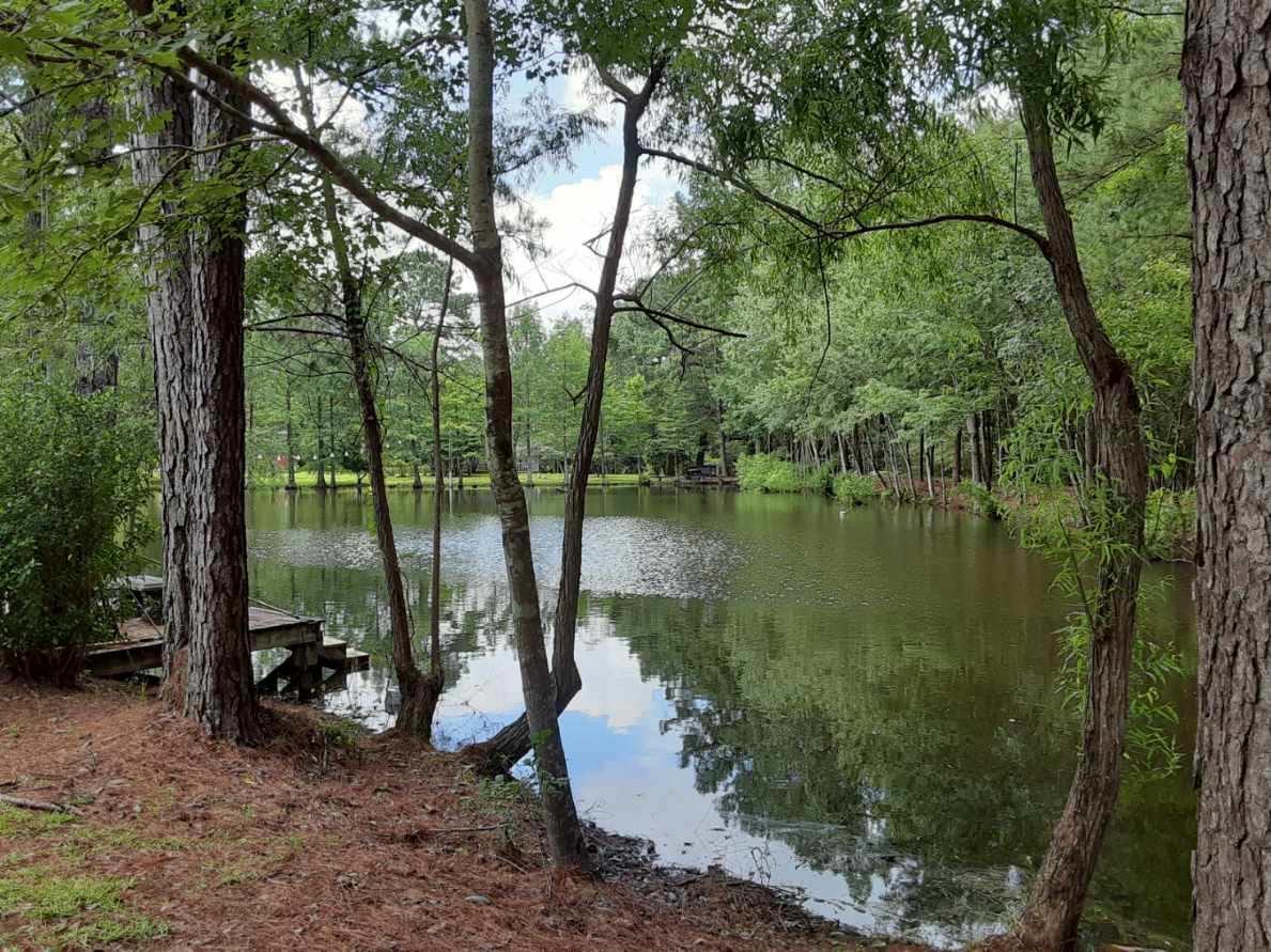 M/H NORTH (221000.10) - Residential