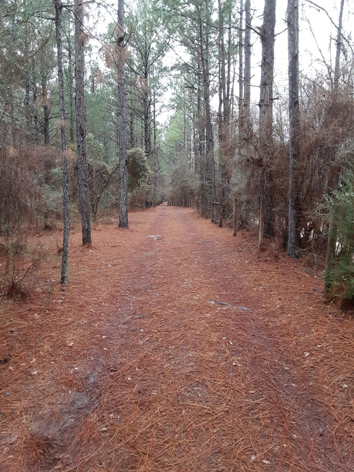 M/H NORTH (221000.10) - Residential