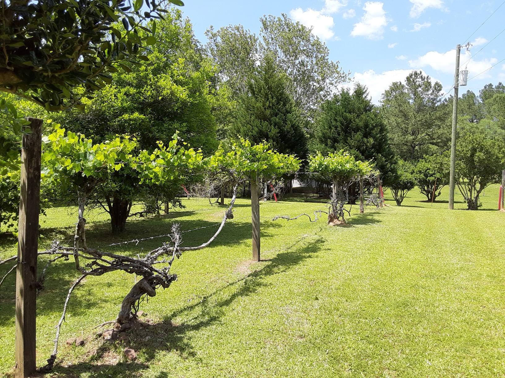 M/H NORTH (221000.10) - Residential