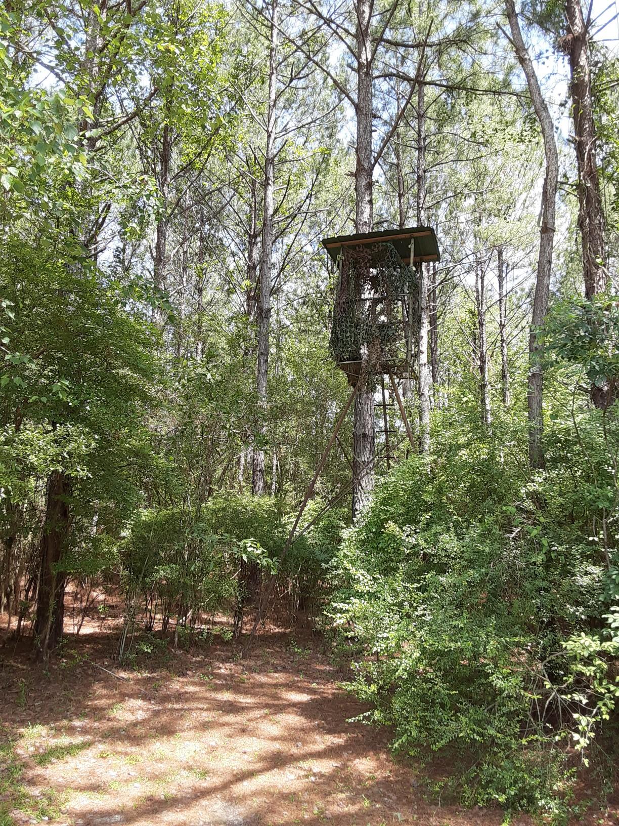 M/H NORTH (221000.10) - Residential