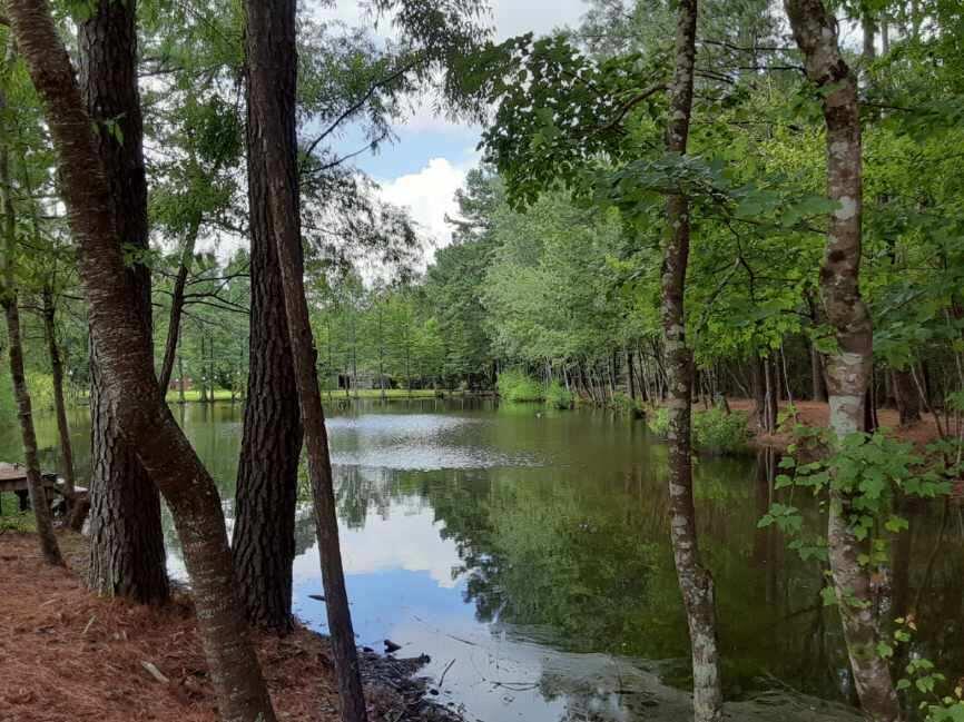 M/H NORTH (221000.10) - Residential