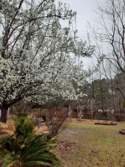 M/H NORTH (221000.10) - Residential