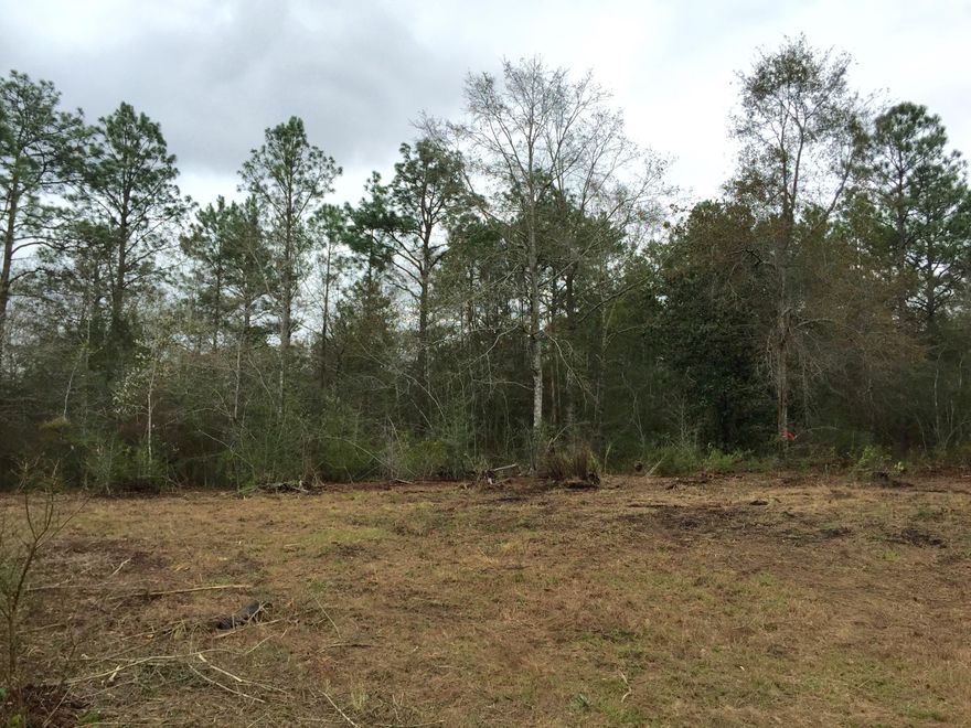 For Comp purposes only