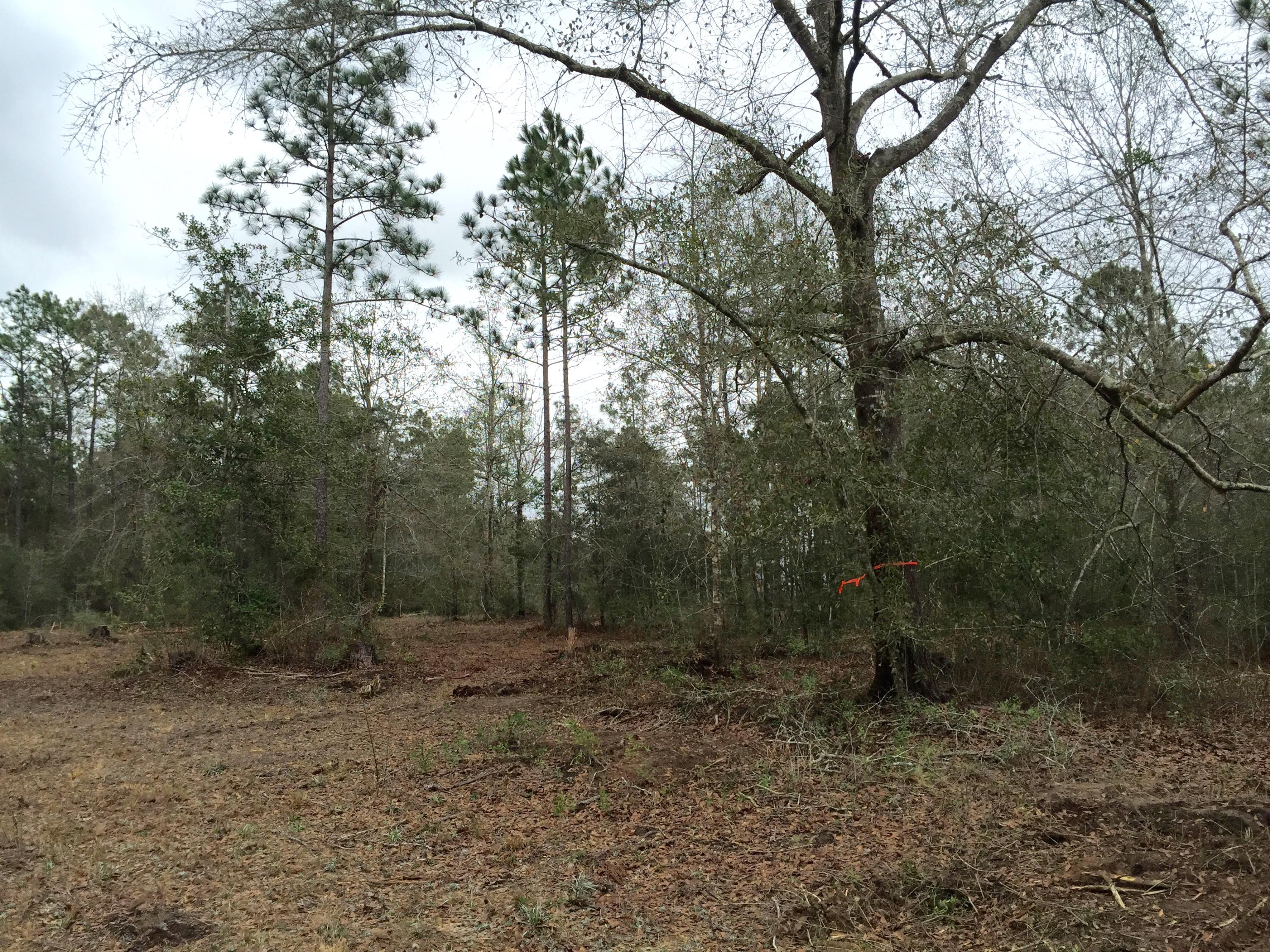 METES & BOUNDS - Land