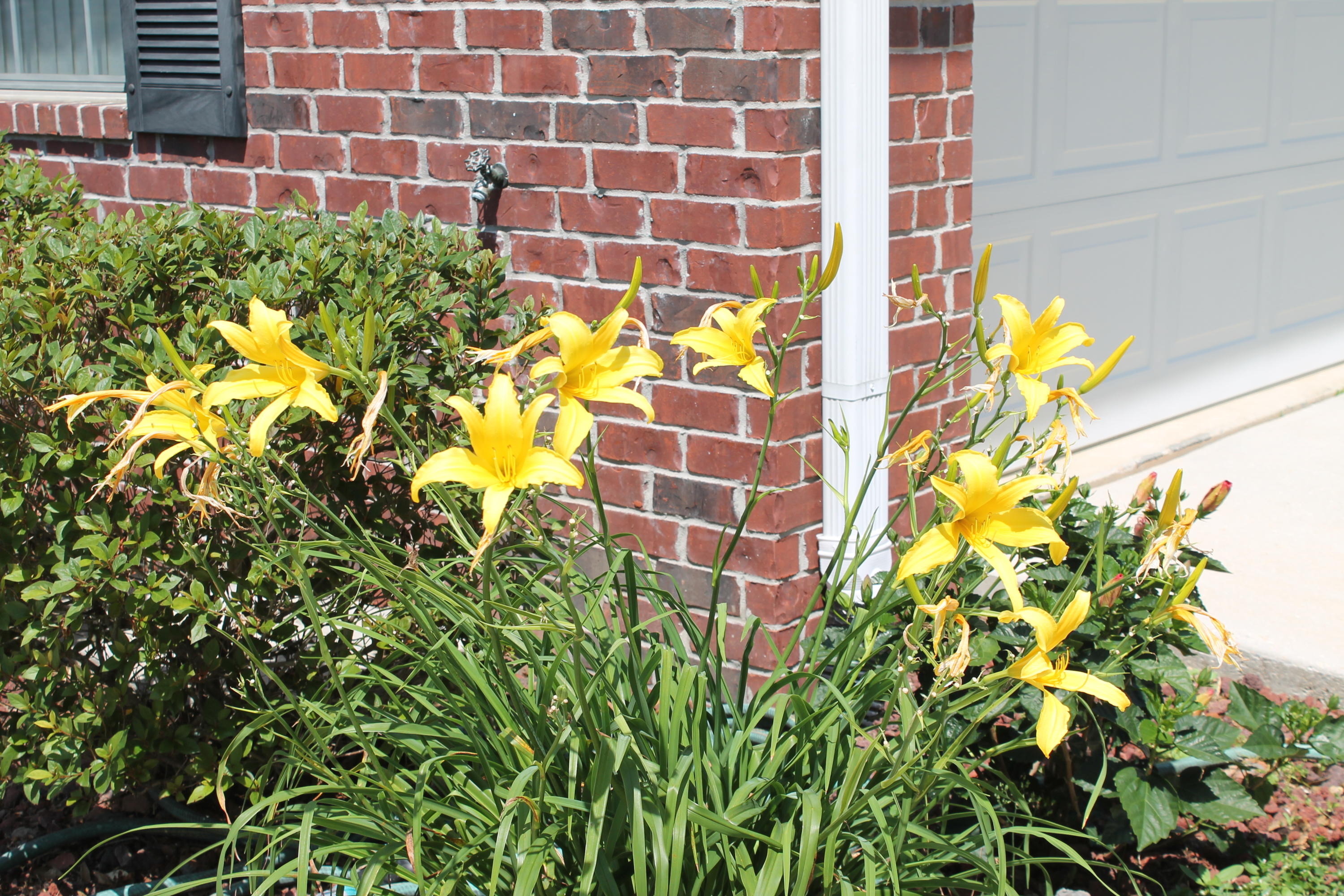 SILVER OAKS PH 2 - Residential