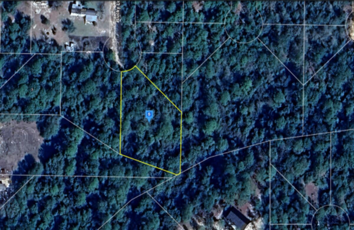 Vacant, 0.48-acre lot located at LUCKY LEAF LN, DEFUNIAK SPRINGS, FL, 32433, in coveted Oakwood Hills Unit III, awaits your dream home. Tucked against a serene, wooded backdrop, there are only minimal restrictions ensuring your design freedom. Both manufactured homes and custom builds are permitted. Key utilities such as power & public water are available along Woodlands Blvd. You would need to install a private septic system. Notably, the lot is located in Flood Zone X with no wetlands according to the county GIS map, ensuring a safe dwelling place. Enjoy the tranquility of the countryside while being approximately 150 ft off of a paved county road. The yearly taxes are affordable at only $84.87. Don't miss out on this prime location to build your dream home on this abundant lot.