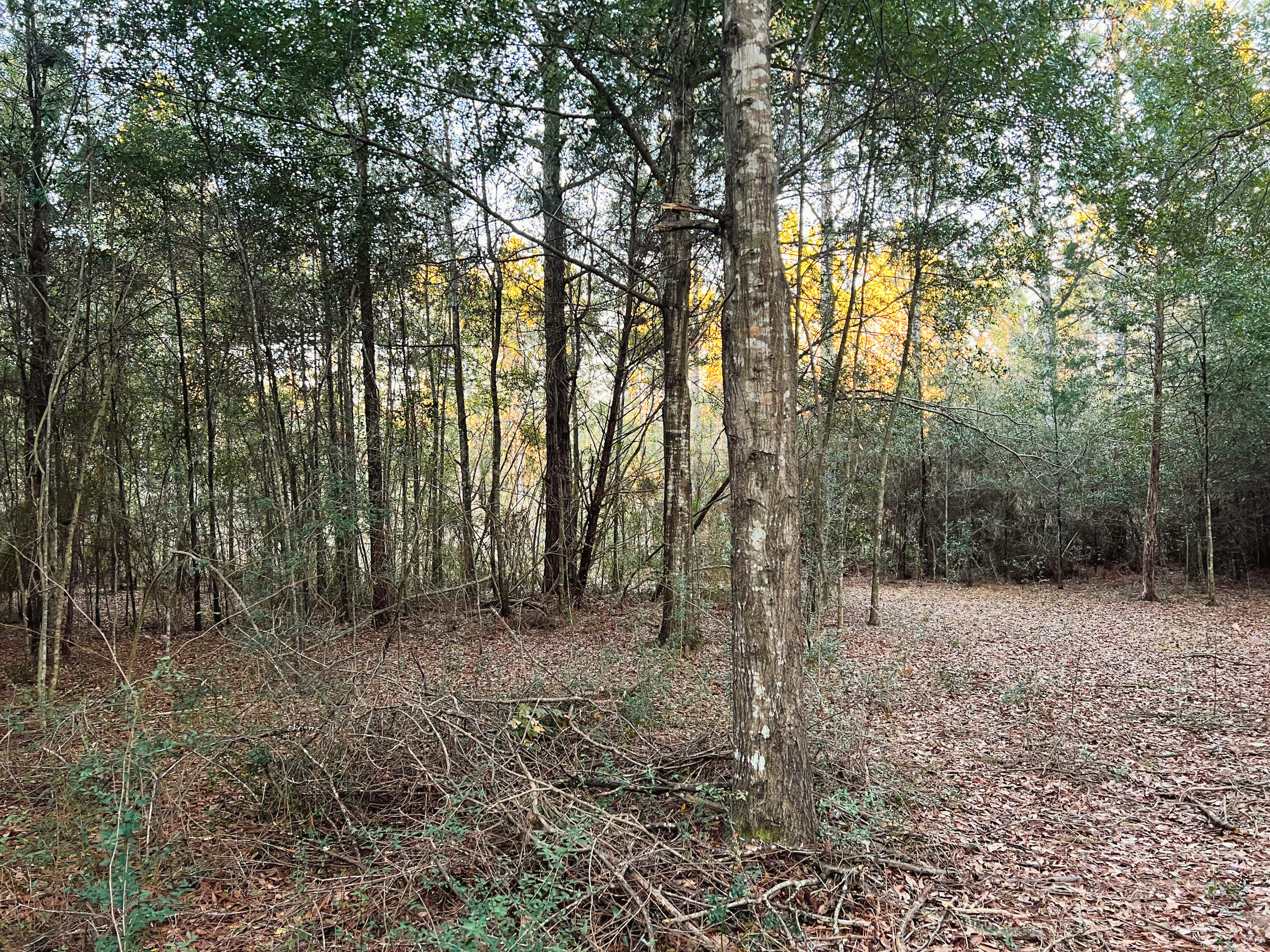 NORTH SUPERGROUP - Land